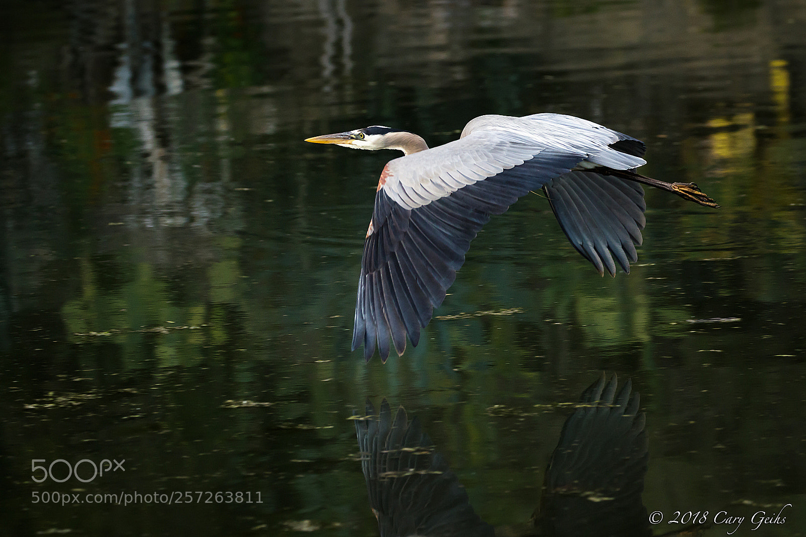 Canon EOS 7D Mark II sample photo. Carefree!! photography