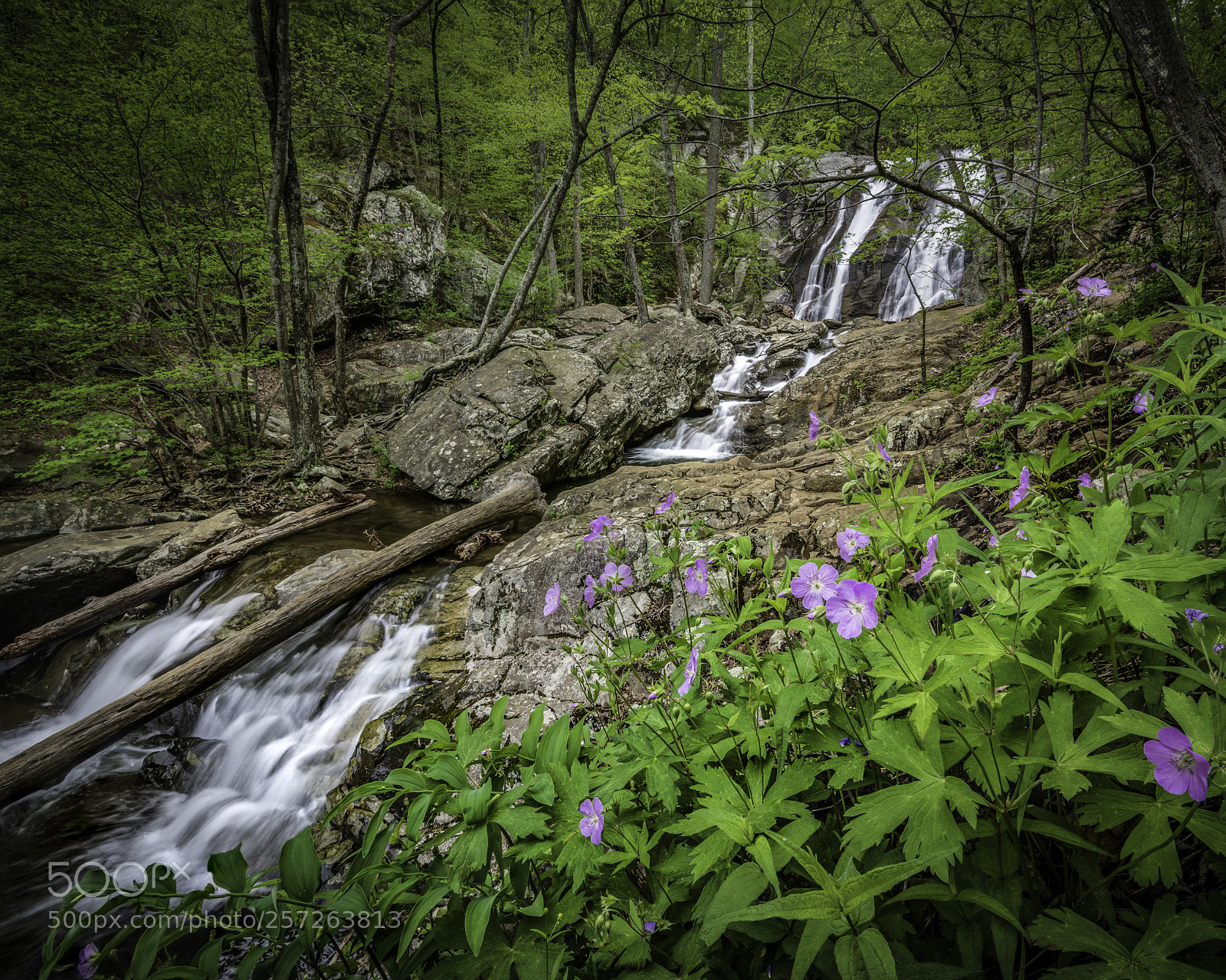 Nikon D850 sample photo. Long falls photography