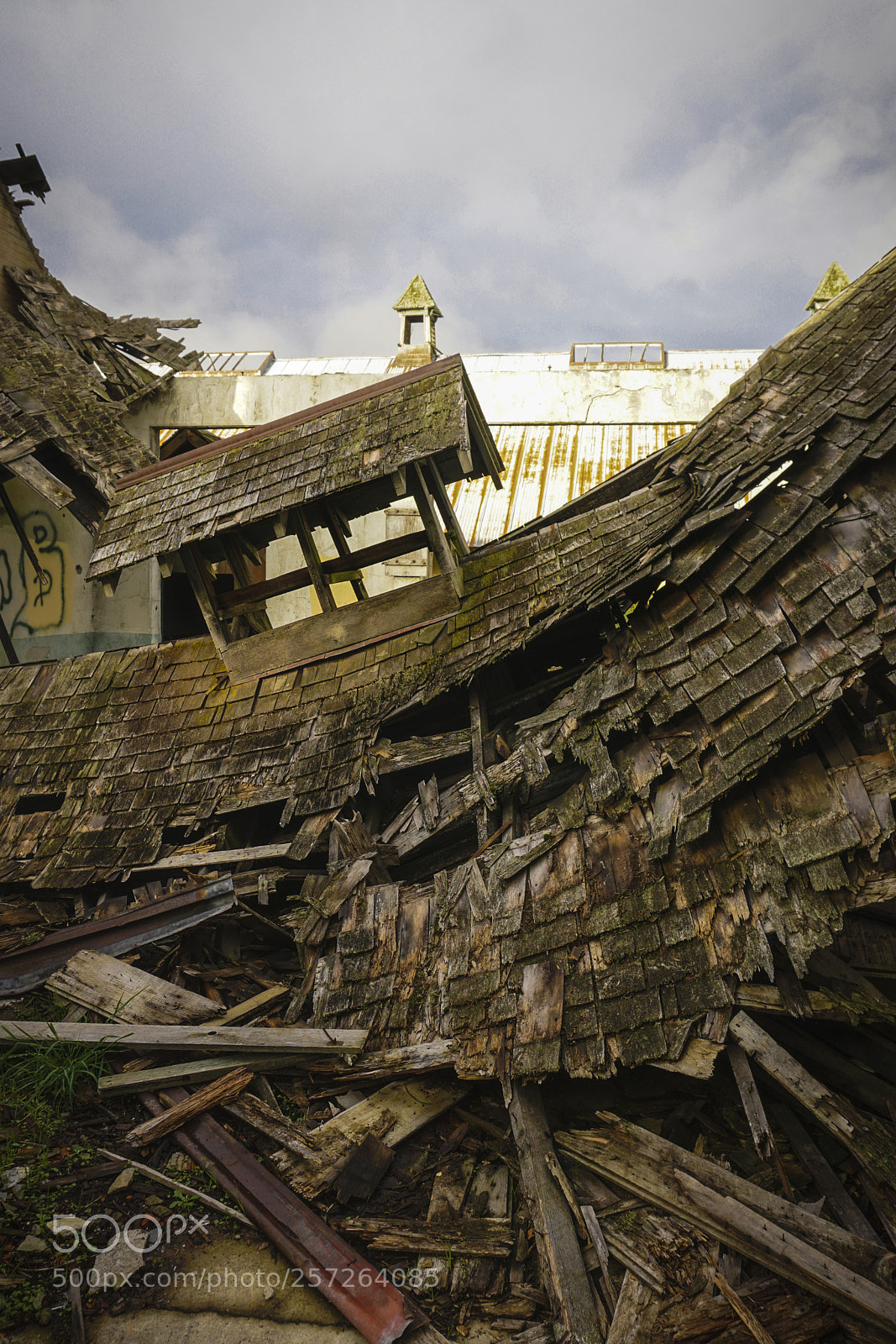 Sony a6000 sample photo. Collapse photography