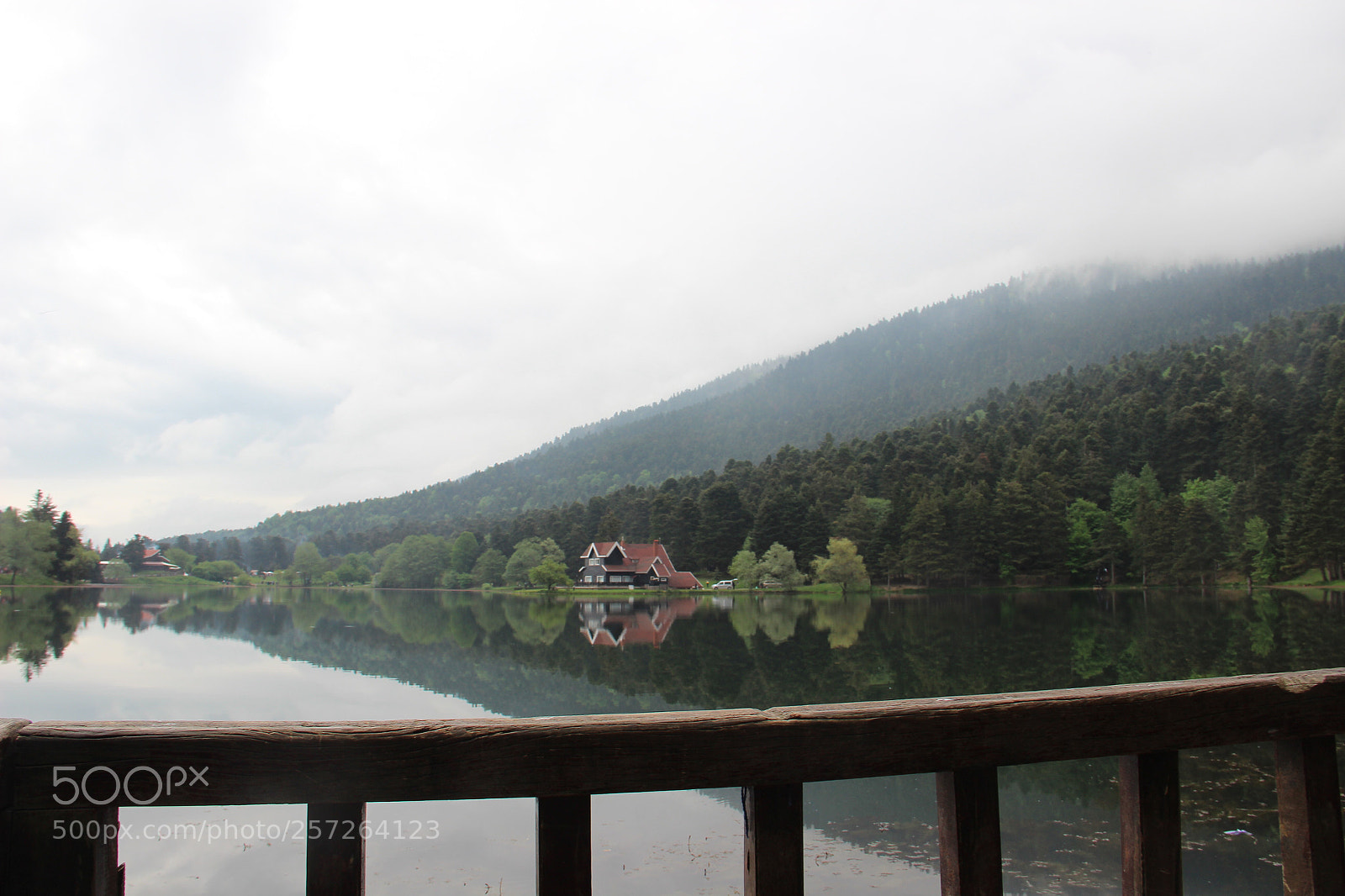 Canon EOS 600D (Rebel EOS T3i / EOS Kiss X5) sample photo. Reflection  photography