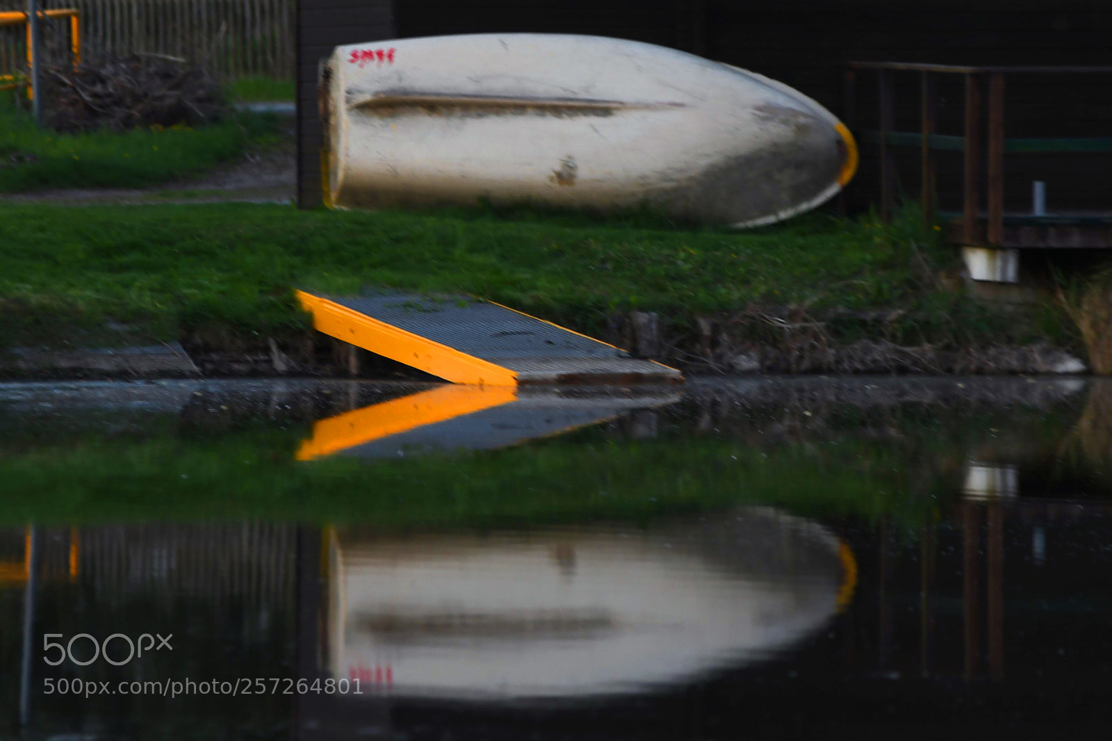 Nikon D500 sample photo. () photography