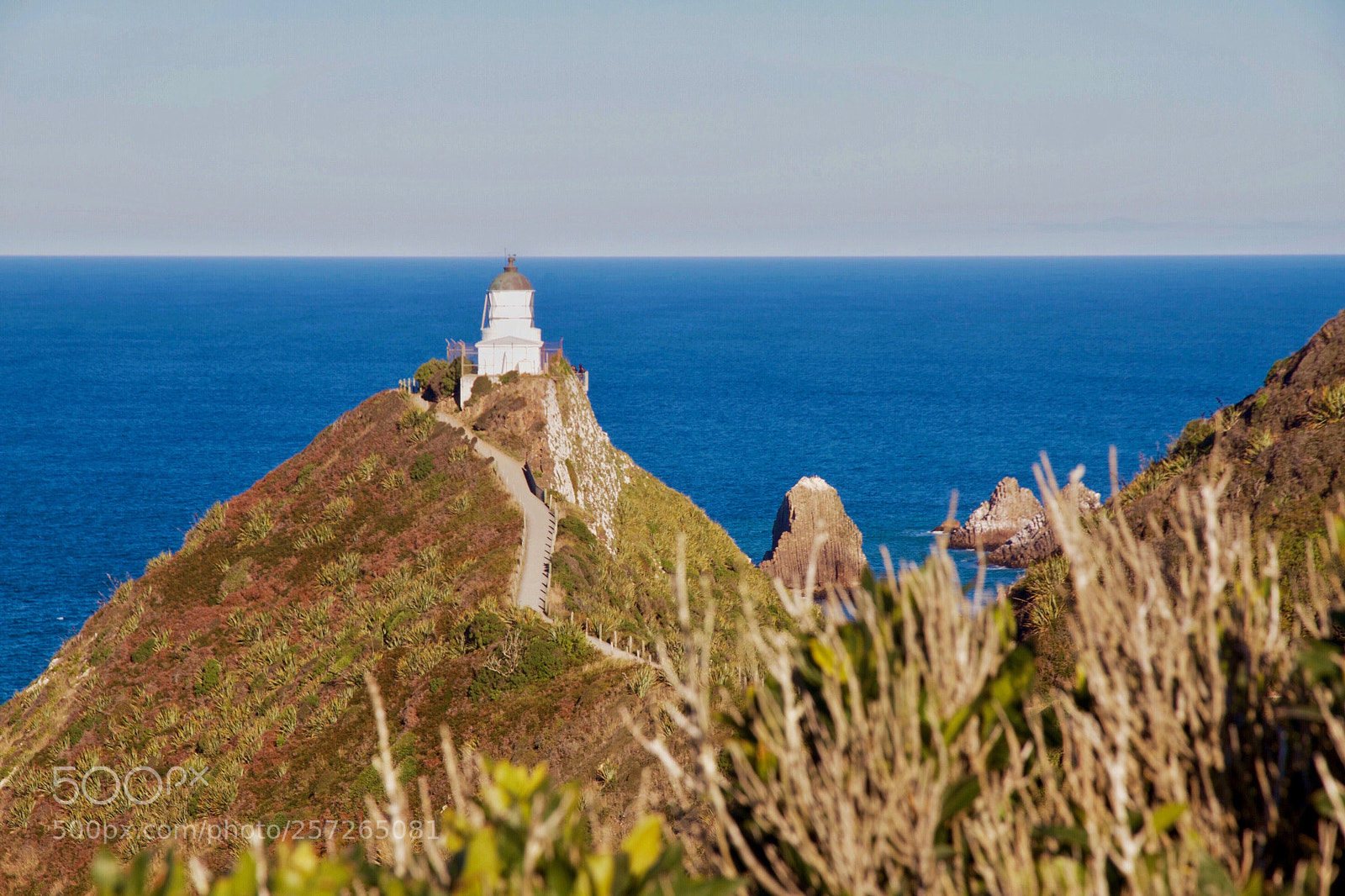 Canon EOS 7D sample photo. Nugget point lighthouse  photography