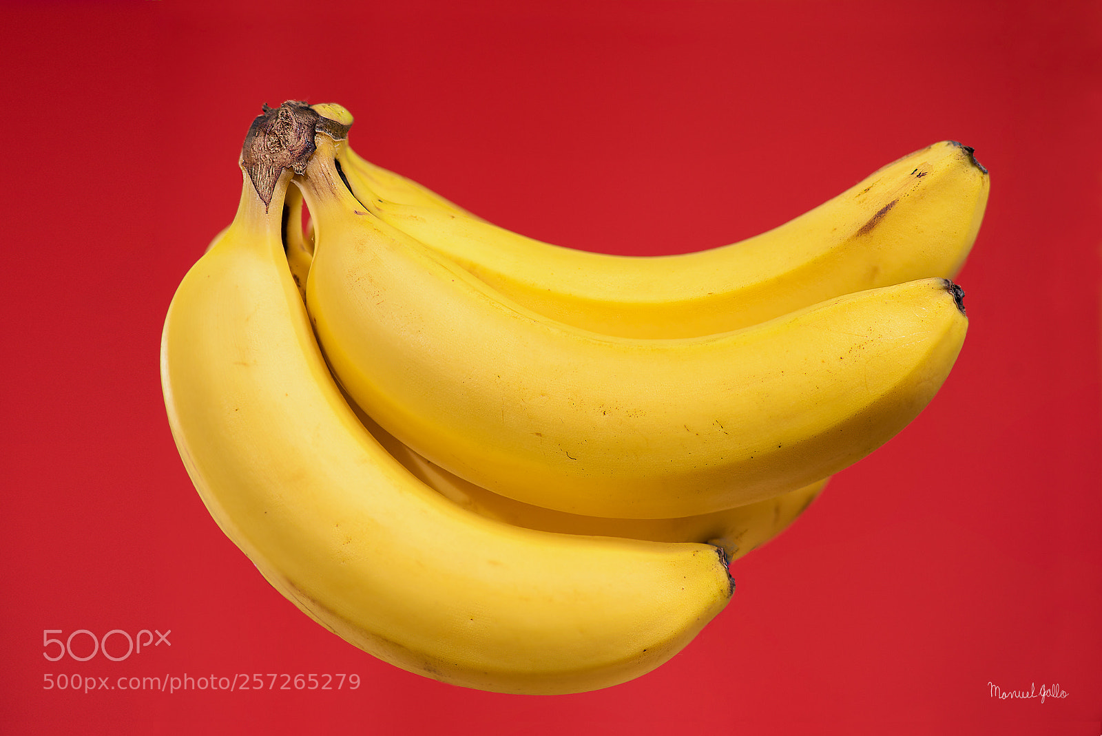 Nikon D750 sample photo. Platano photography