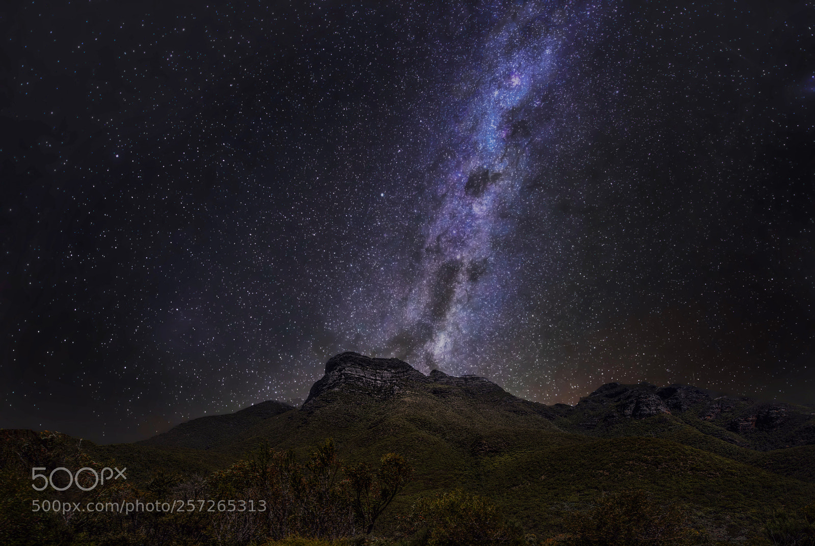 Nikon D810 sample photo. Vertical milkyway photography