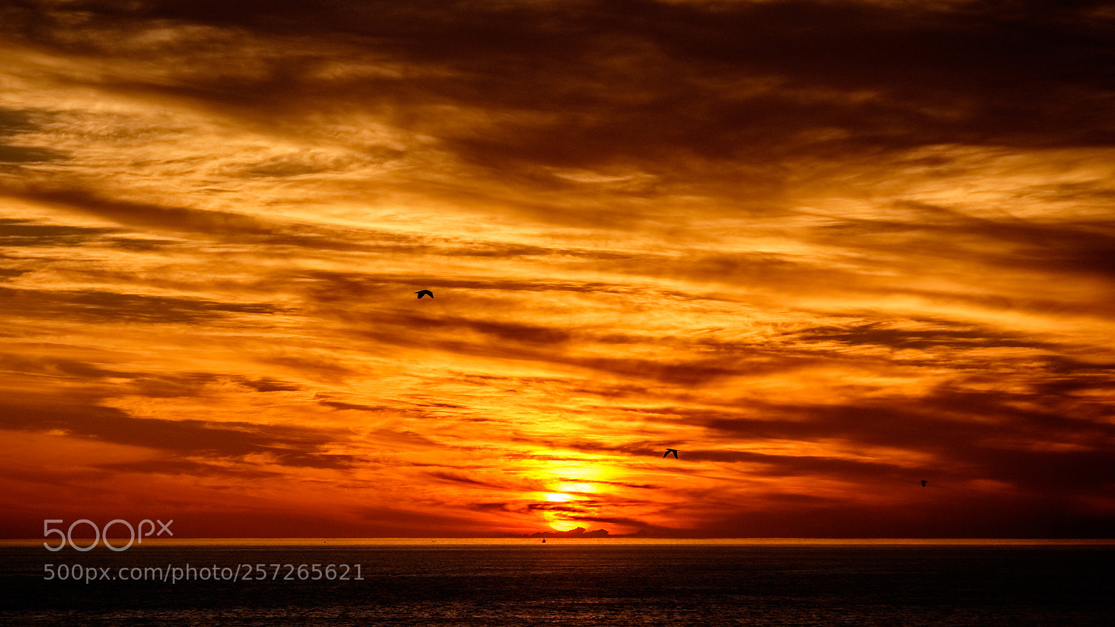 Fujifilm X-T1 sample photo. Sunset photography