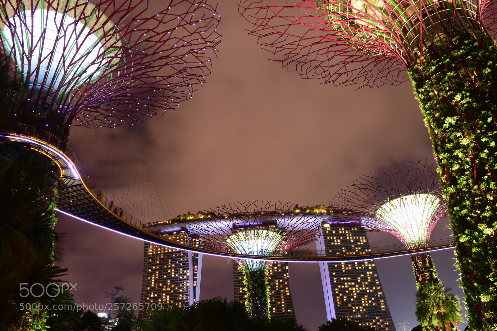 Nikon D5300 sample photo. Garden by the bay photography