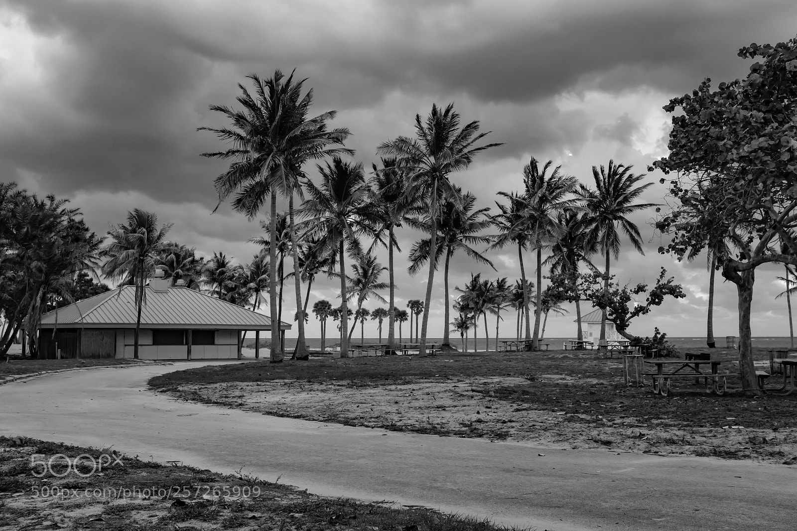 Fujifilm X100F sample photo. Crandon park beach photography