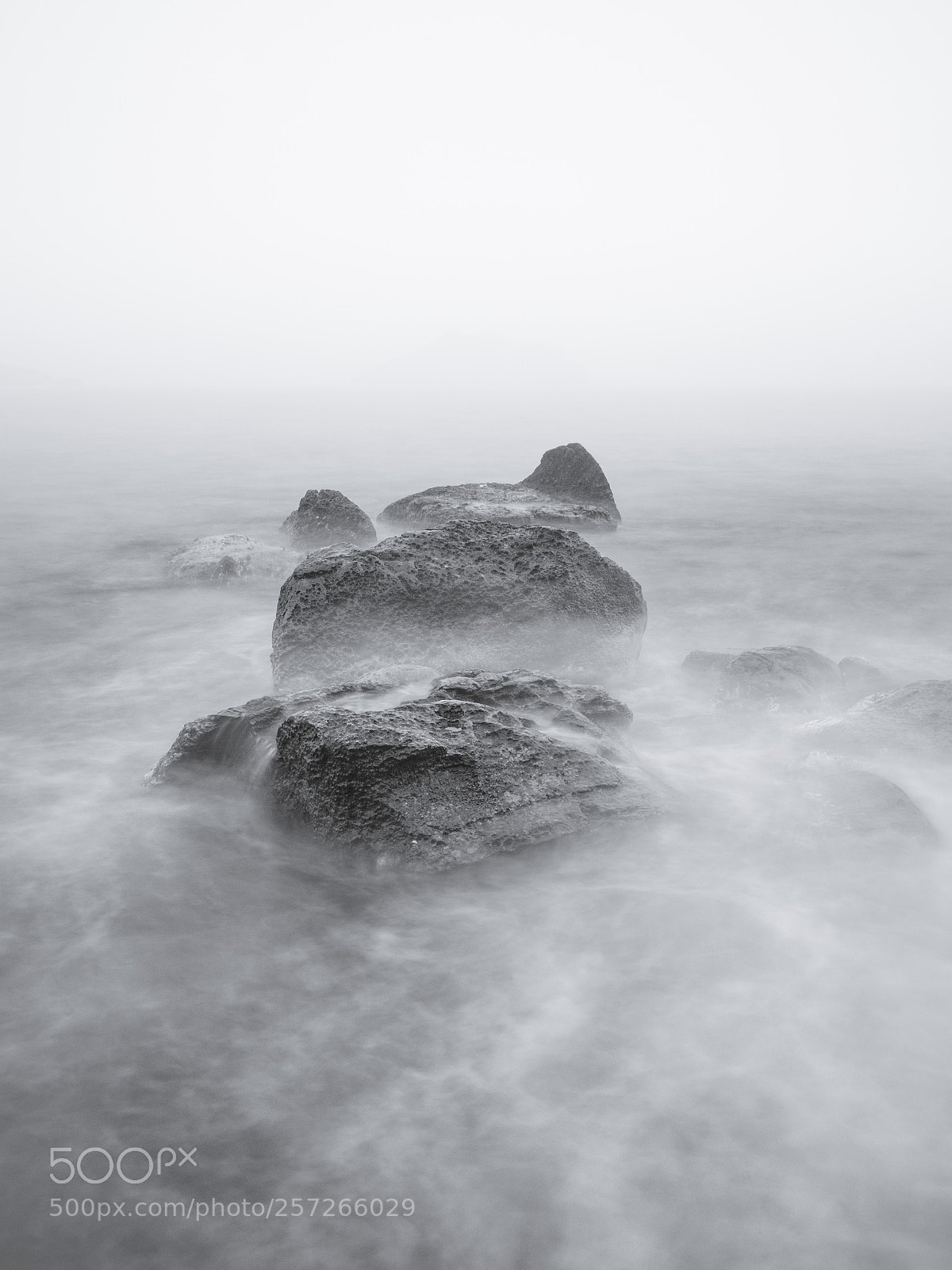Nikon D7100 sample photo. Остров Лисий в тумане photography