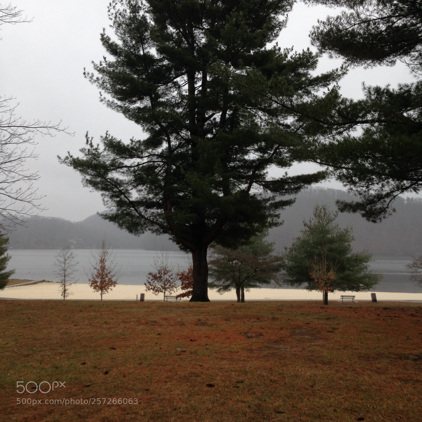 Apple iPhone 5c sample photo. Untitled photography