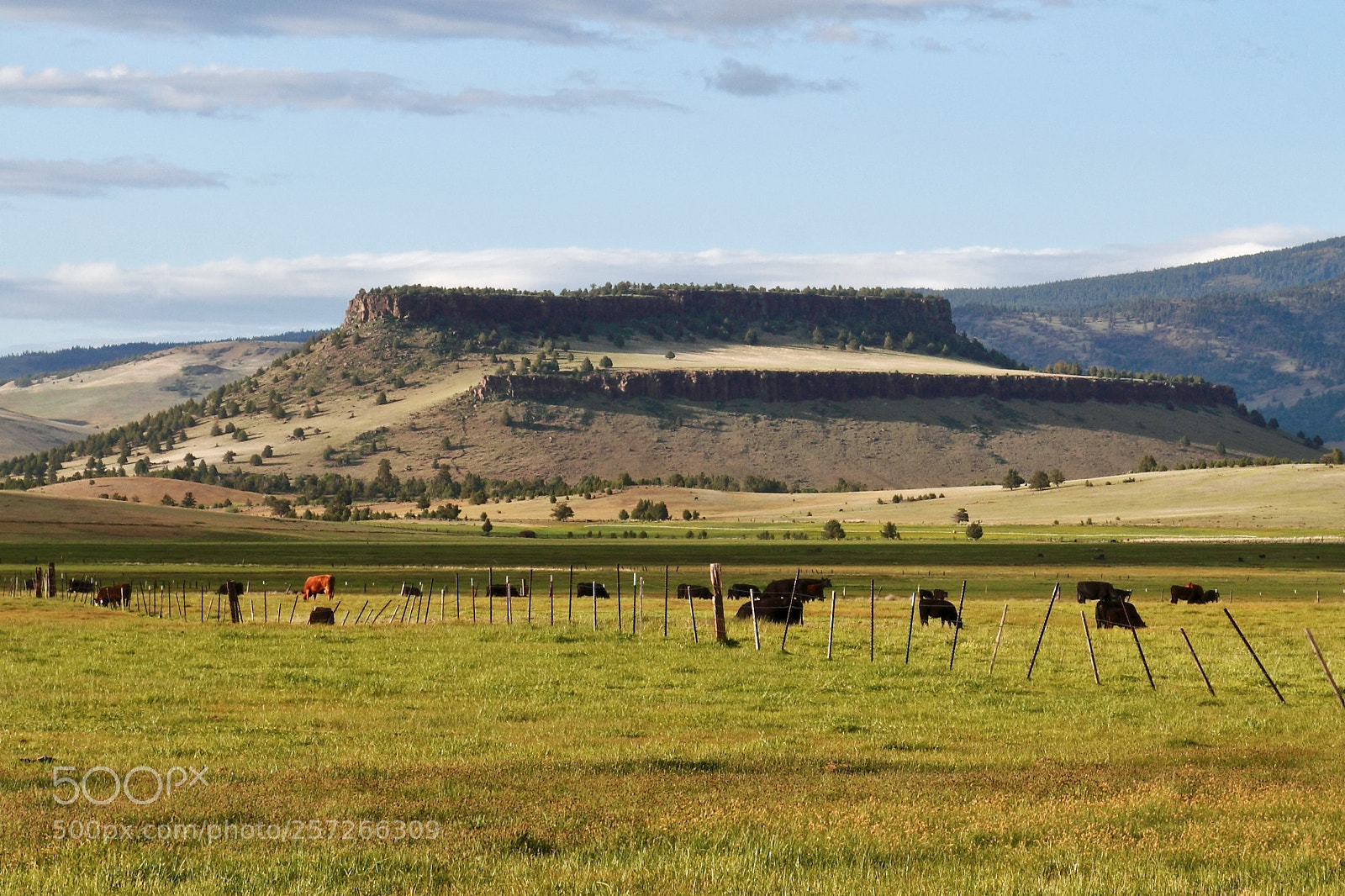 Canon EOS 550D (EOS Rebel T2i / EOS Kiss X4) sample photo. Ranch landscape table rock photography