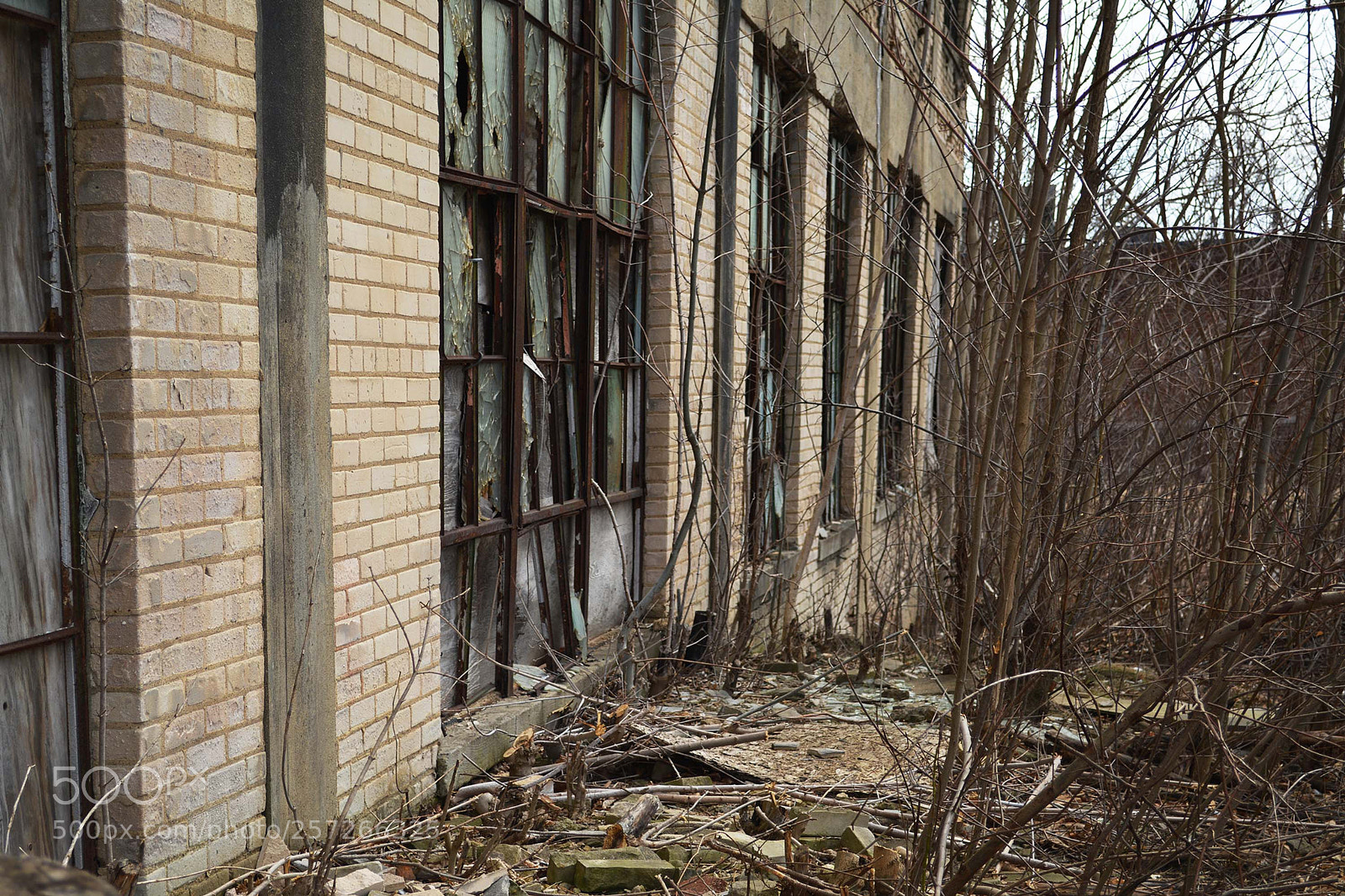 Nikon D5200 sample photo. Flint8 photography