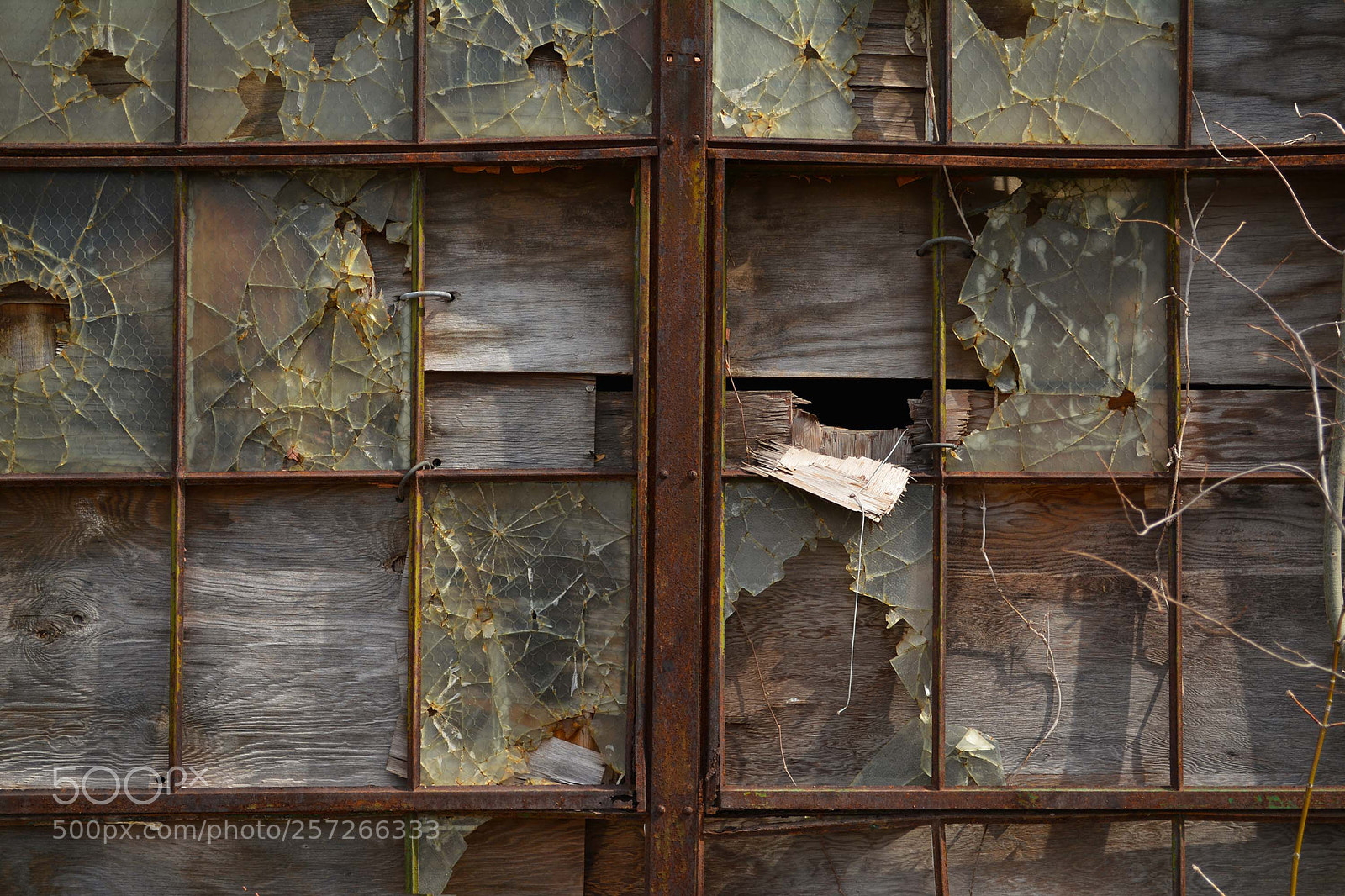 Nikon D5200 sample photo. Flint10 photography