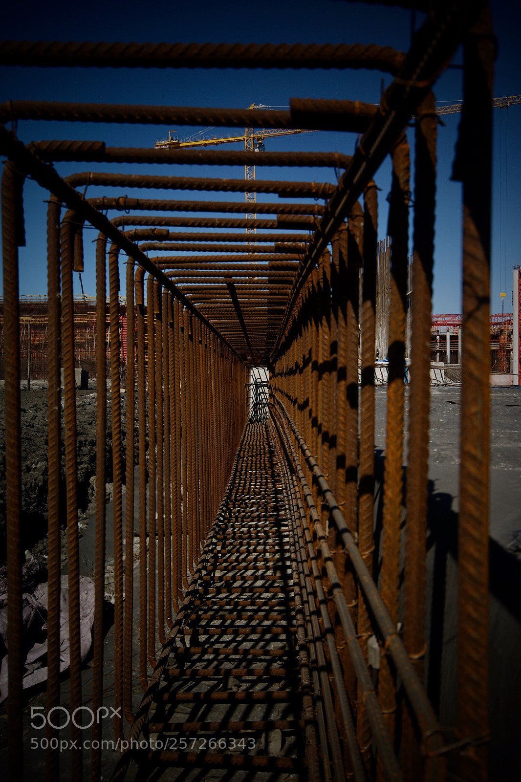 Sony Alpha DSLR-A350 sample photo. Rebar photography