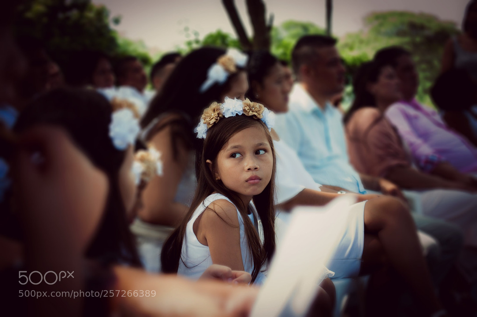 Nikon D5000 sample photo. Untitled photography