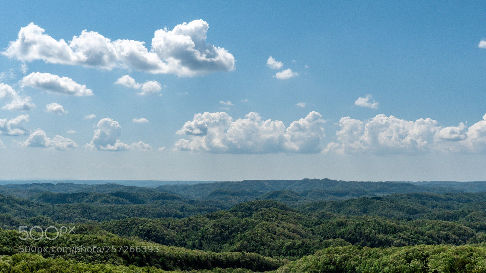 Sony a6300 sample photo. Appalachian foothills. photography