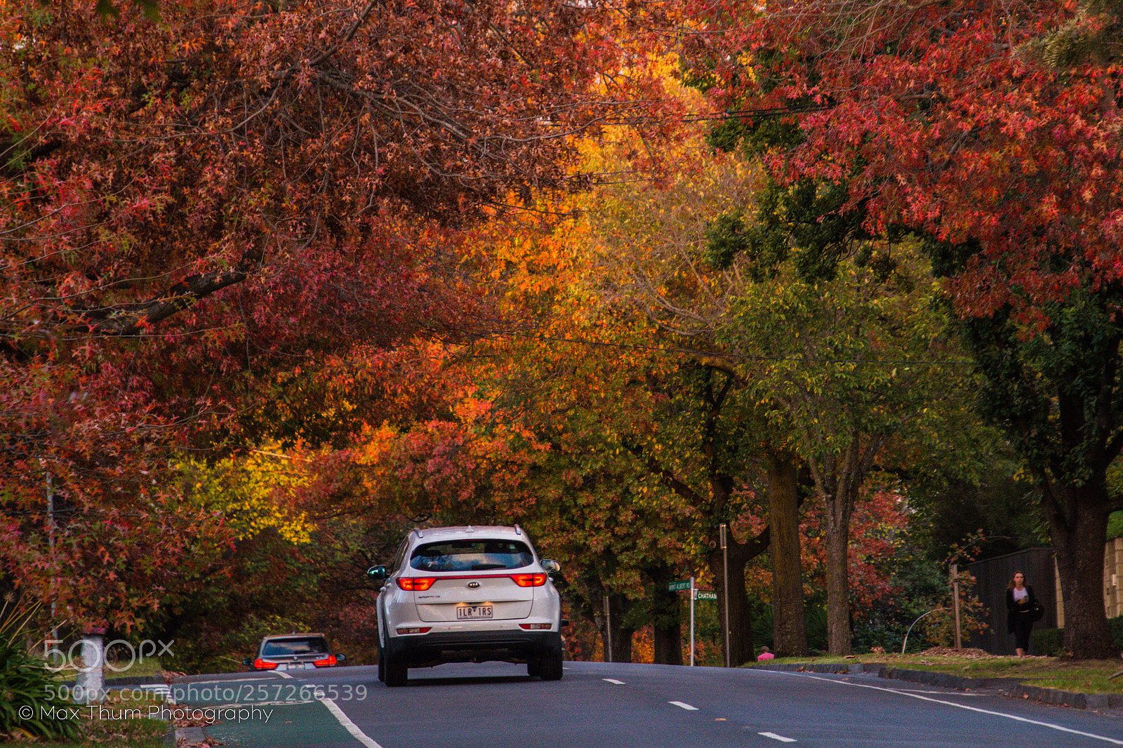 Canon EOS 70D sample photo. Mont albert road photography