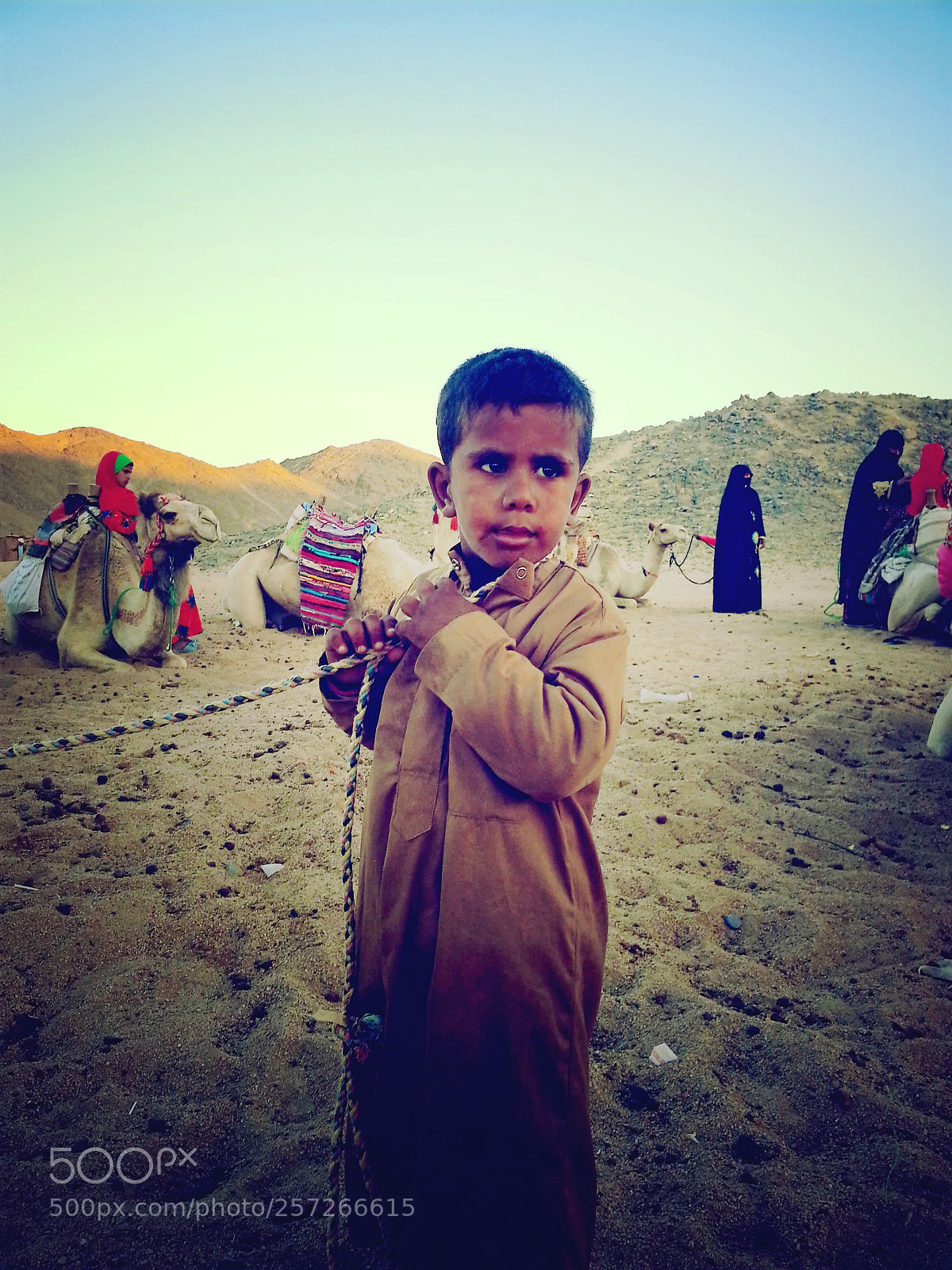 Samsung Galaxy Note2 sample photo. Untitled photography