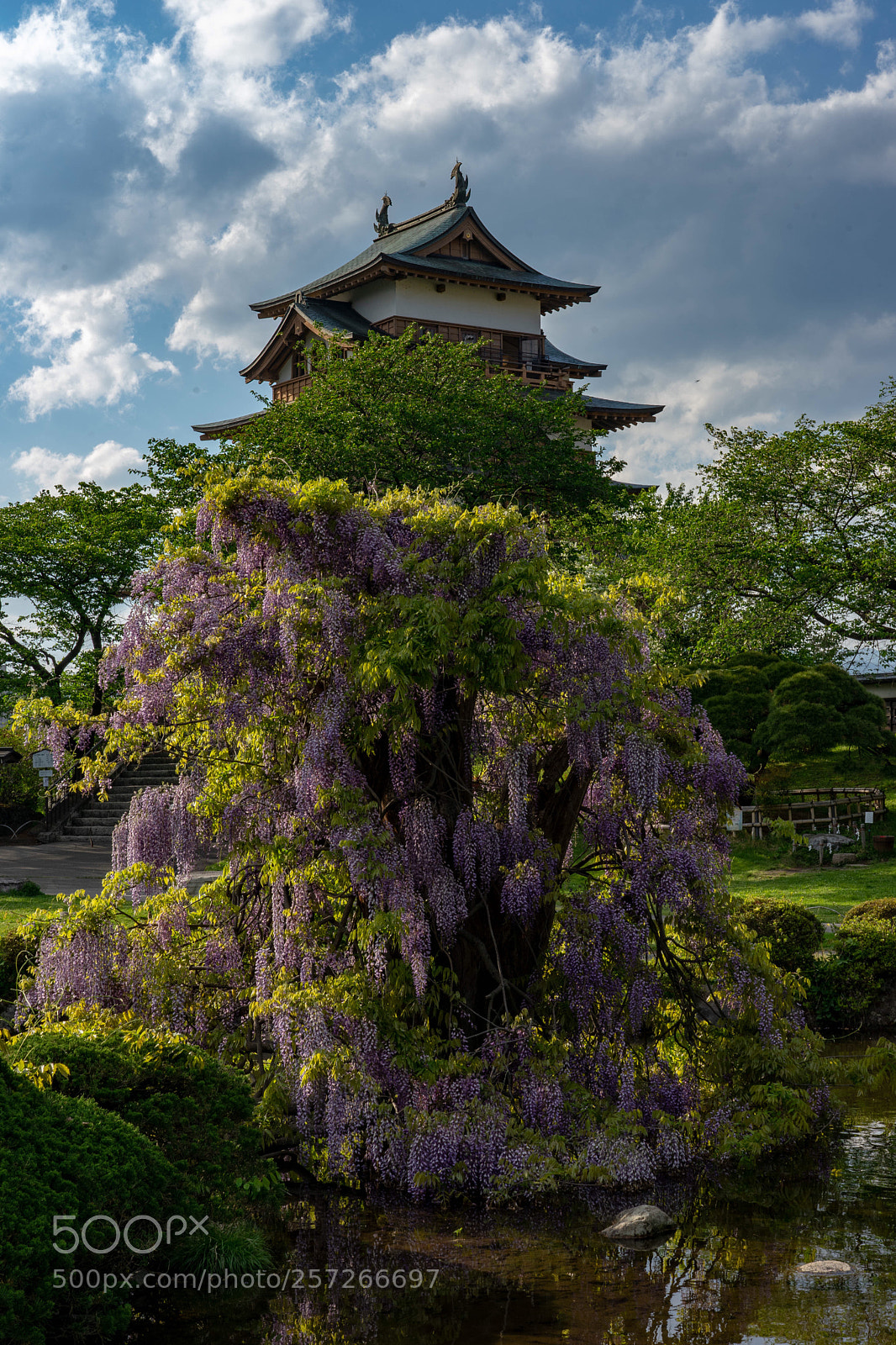 Sony a7 II sample photo. Untitled photography