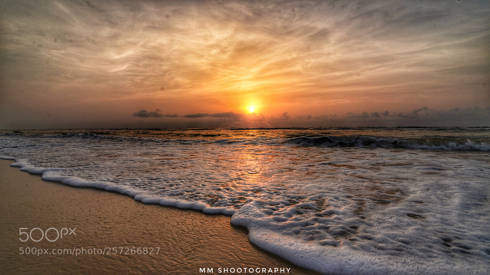 Nikon D610 sample photo. Blissful morning photography