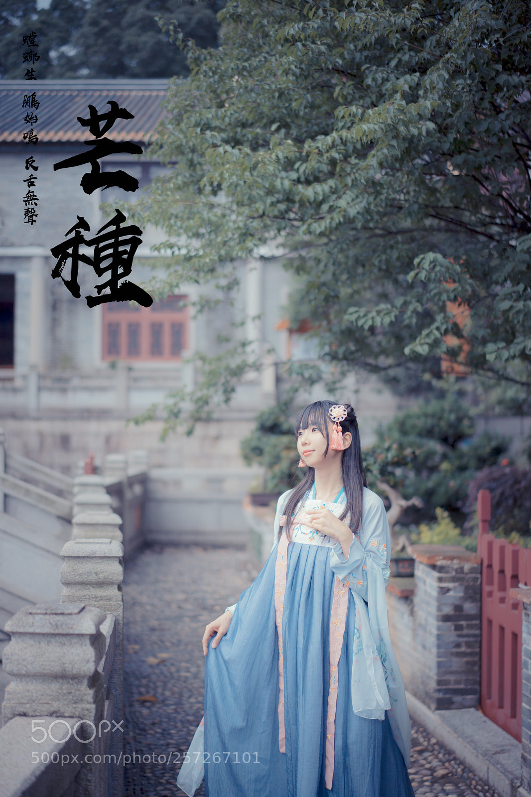 Sony a7 II sample photo. Mangzhong-芒种 photography