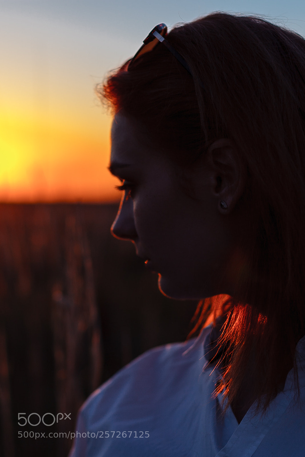 Canon EOS 5D Mark II sample photo. Img photography