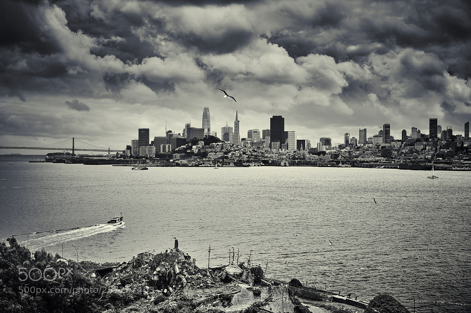 Sony a7 III sample photo. View of san francisco photography