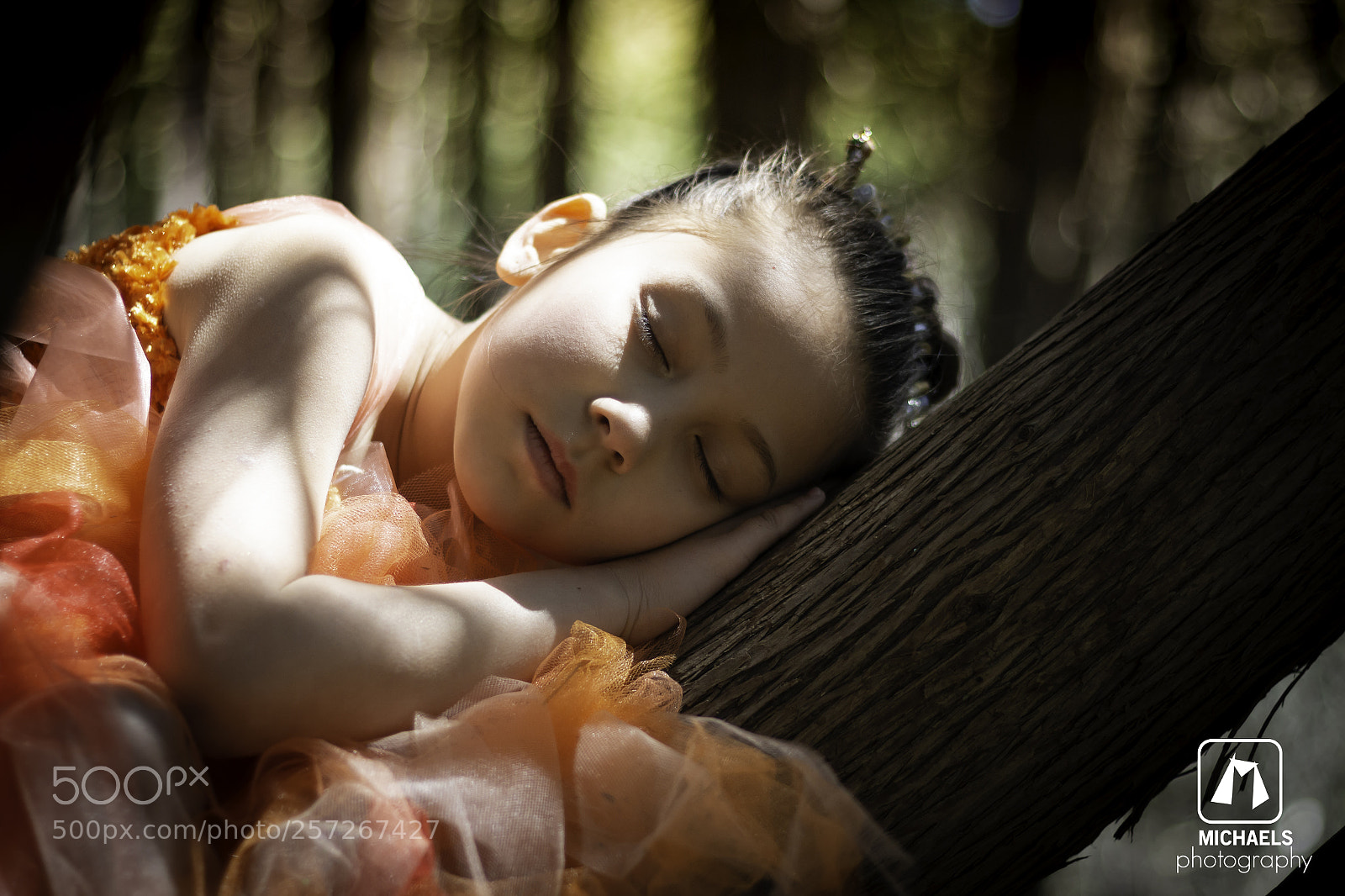 Canon EOS 70D sample photo. Enchanted fairy photography