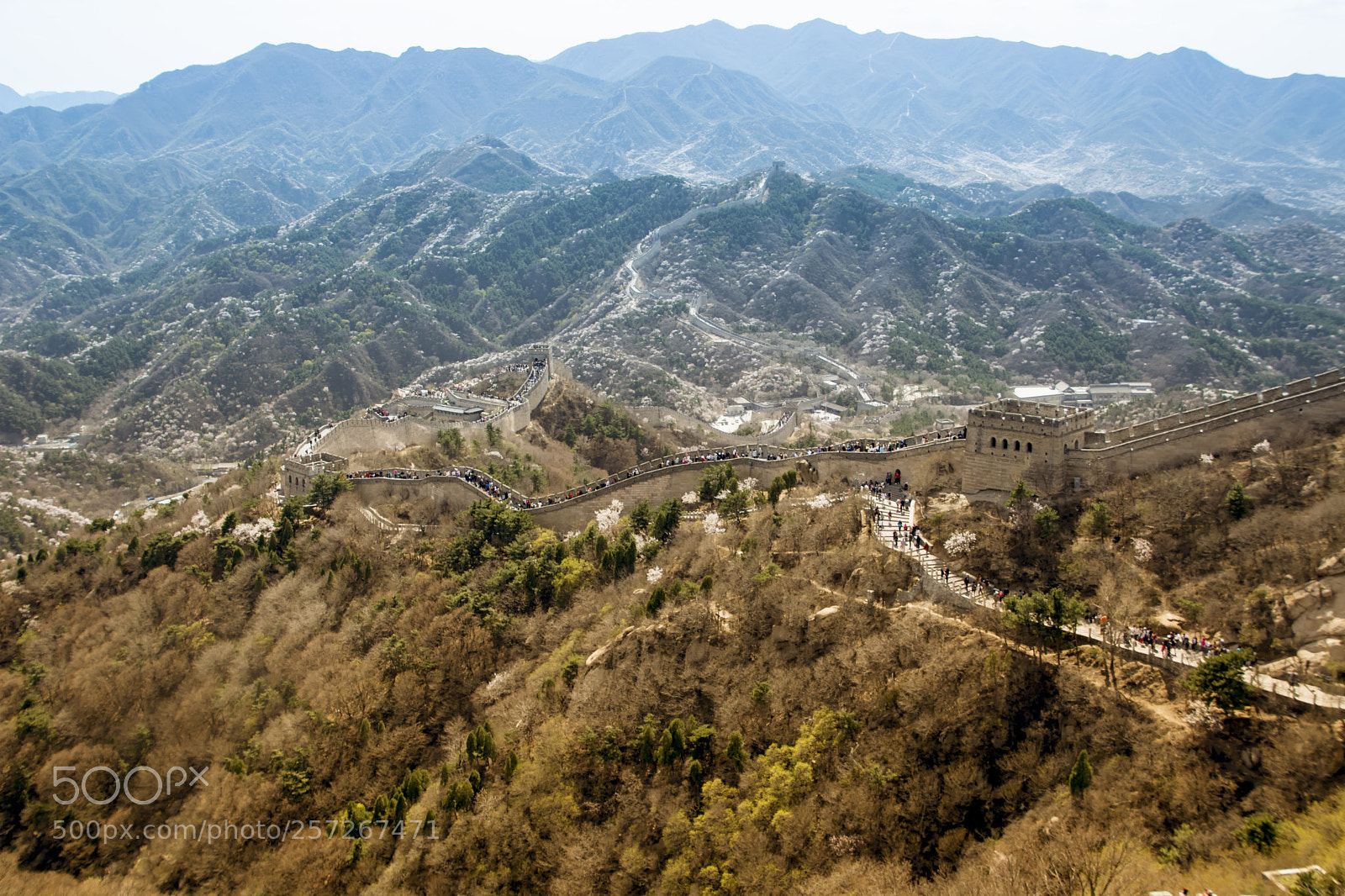 Nikon D5200 sample photo. 长城之春 photography