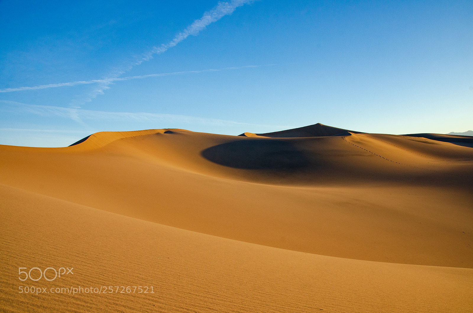 Nikon D7000 sample photo. Mesquite dunes photography