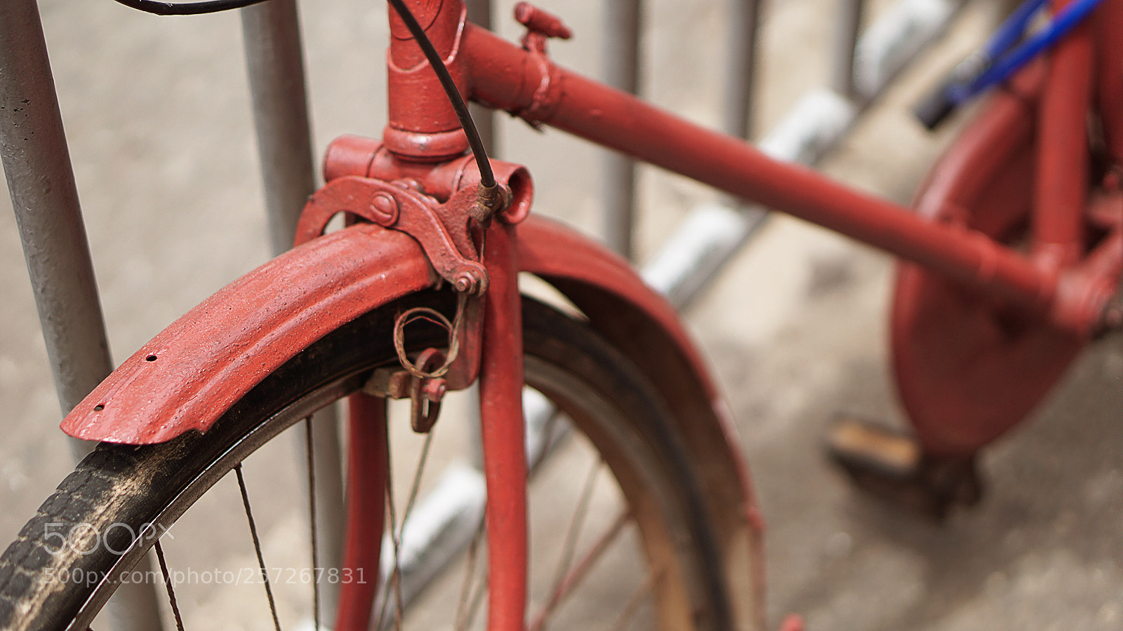 Sony a6000 sample photo. Red photography