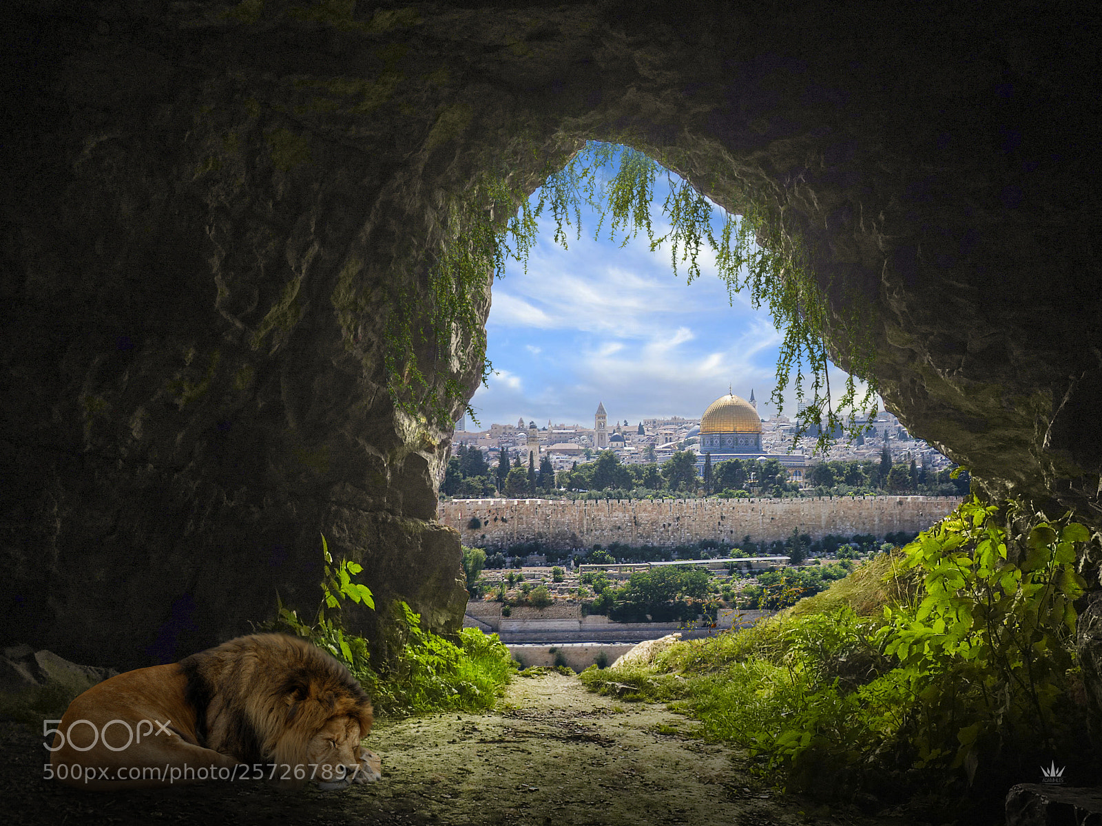 Fujifilm X10 sample photo. Lion's den photography