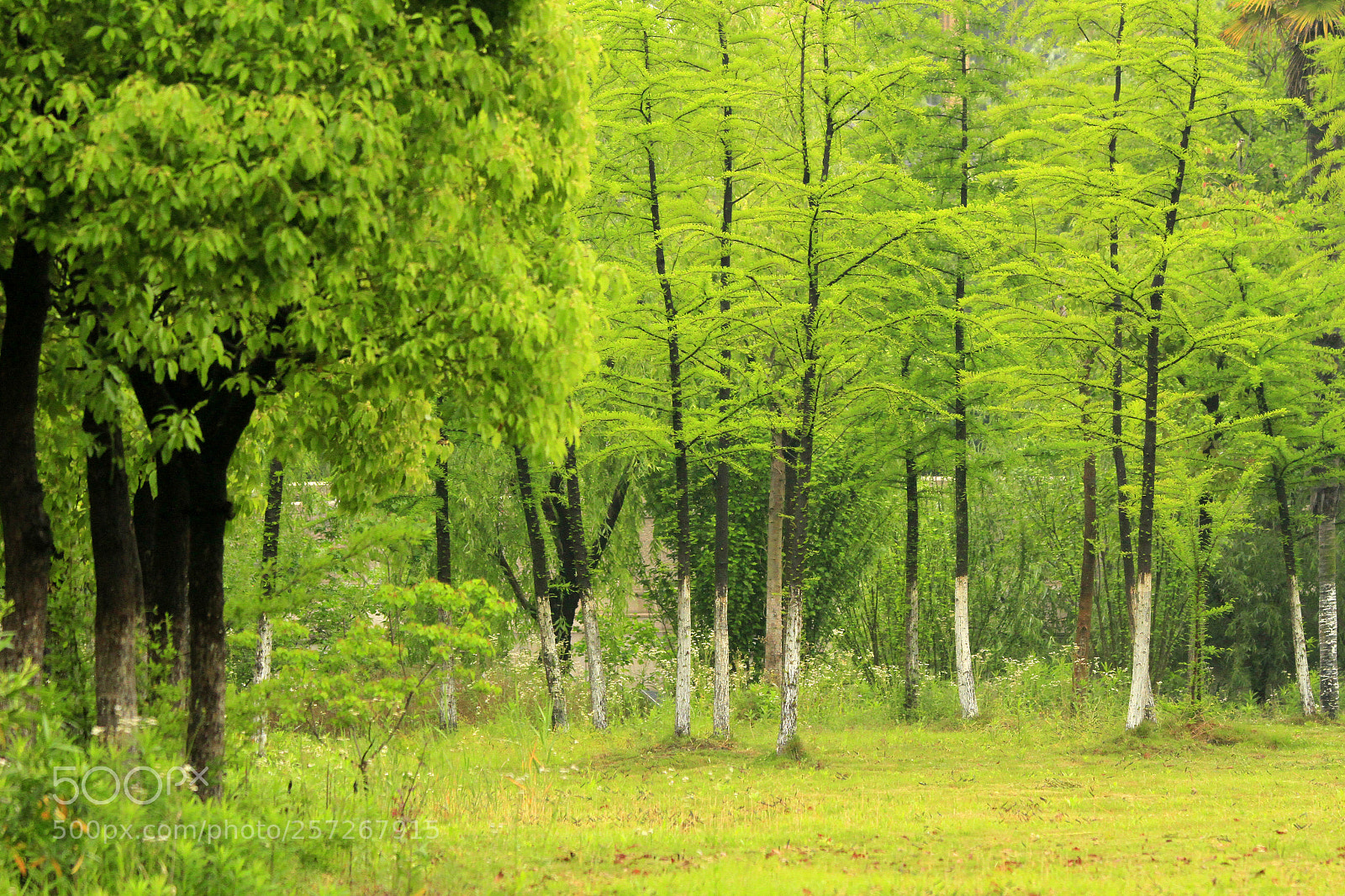 Canon EOS 7D sample photo. Glamour of light and photography