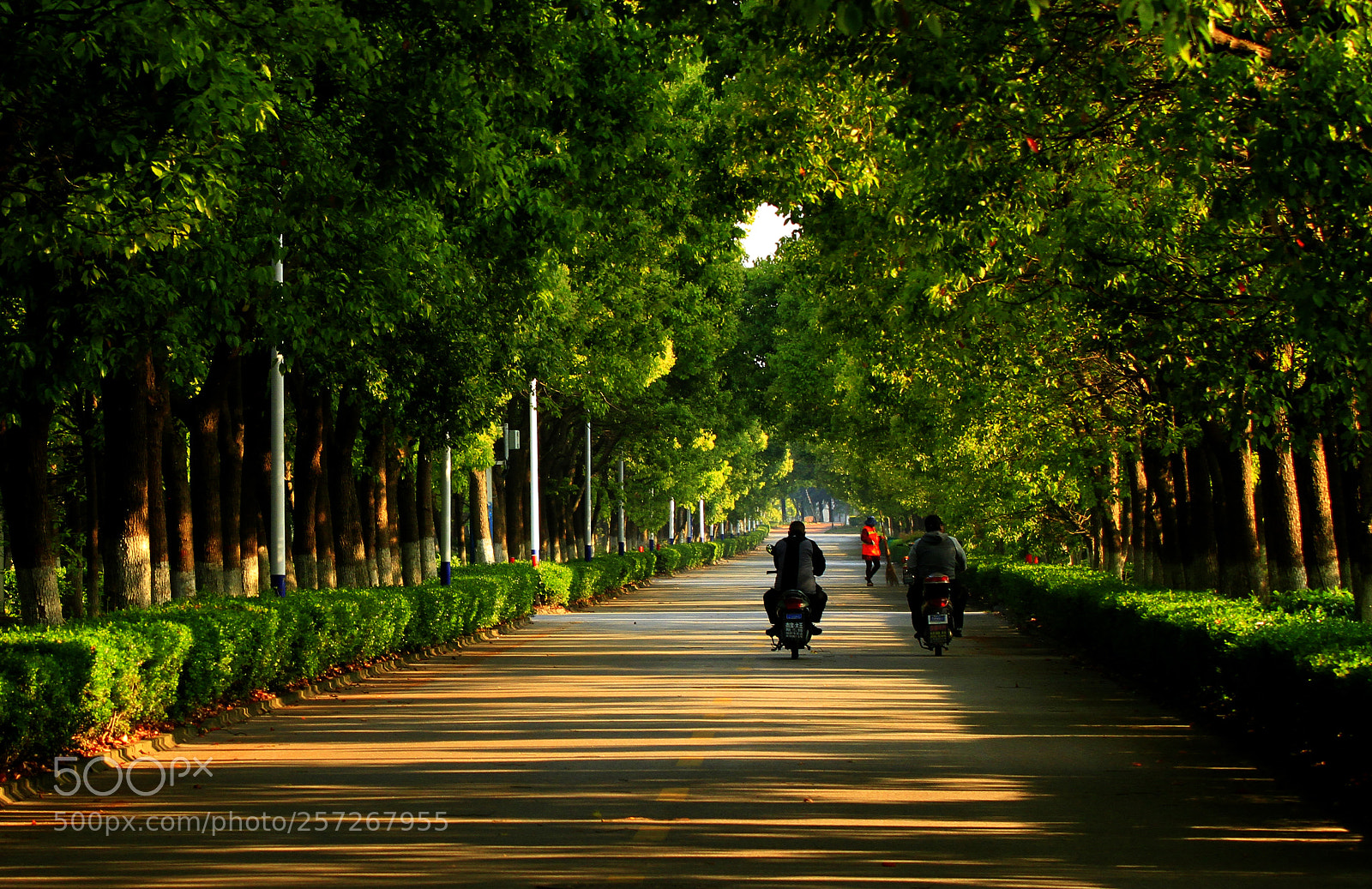 Canon EOS 7D sample photo. Glamour of light and photography