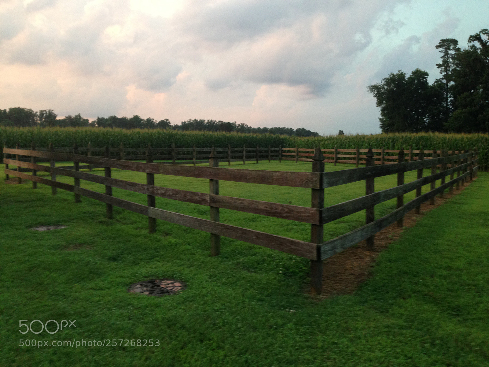 Apple iPhone 5c sample photo. Untitled photography