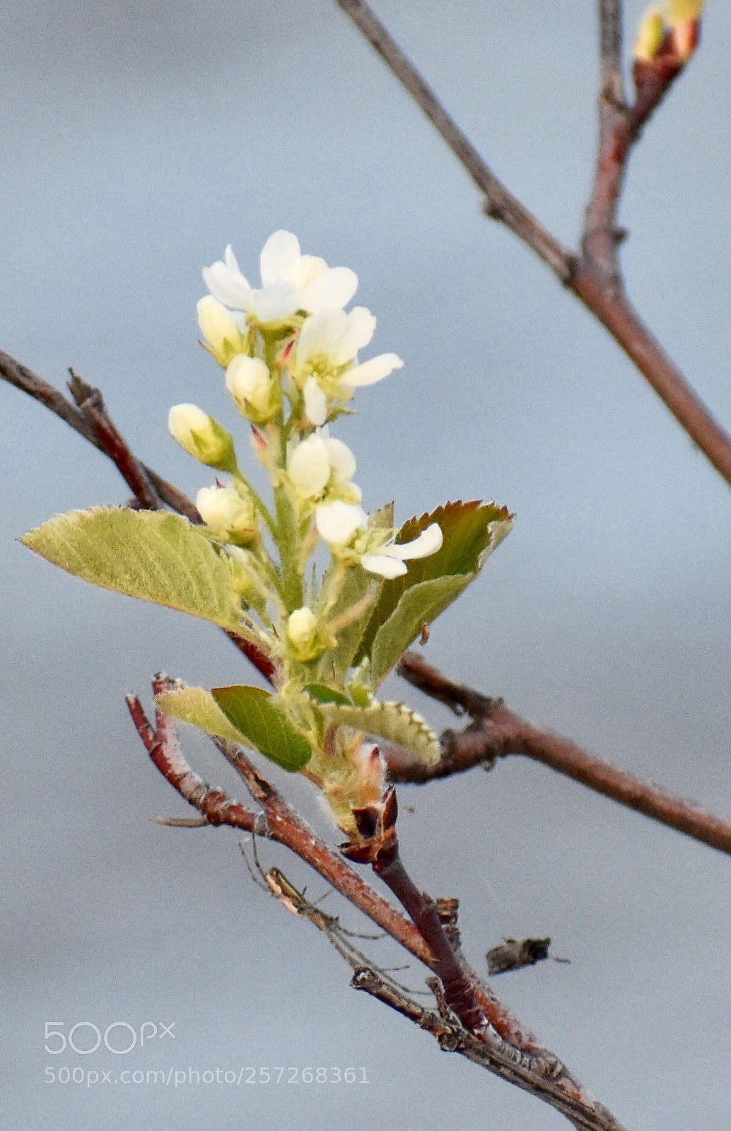 Nikon D3400 sample photo. Nature photography