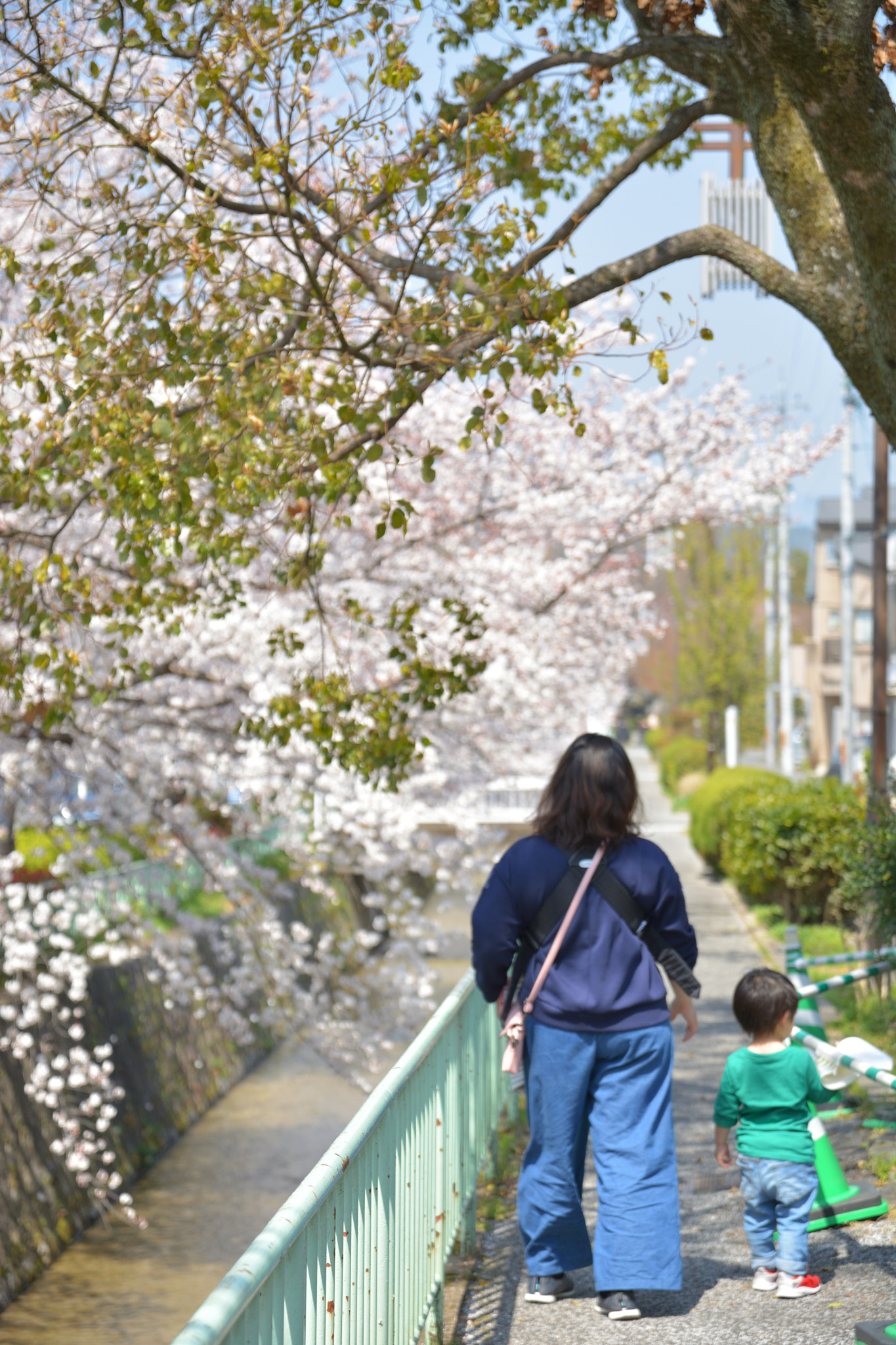 Nikon D5200 sample photo. Hanami photography