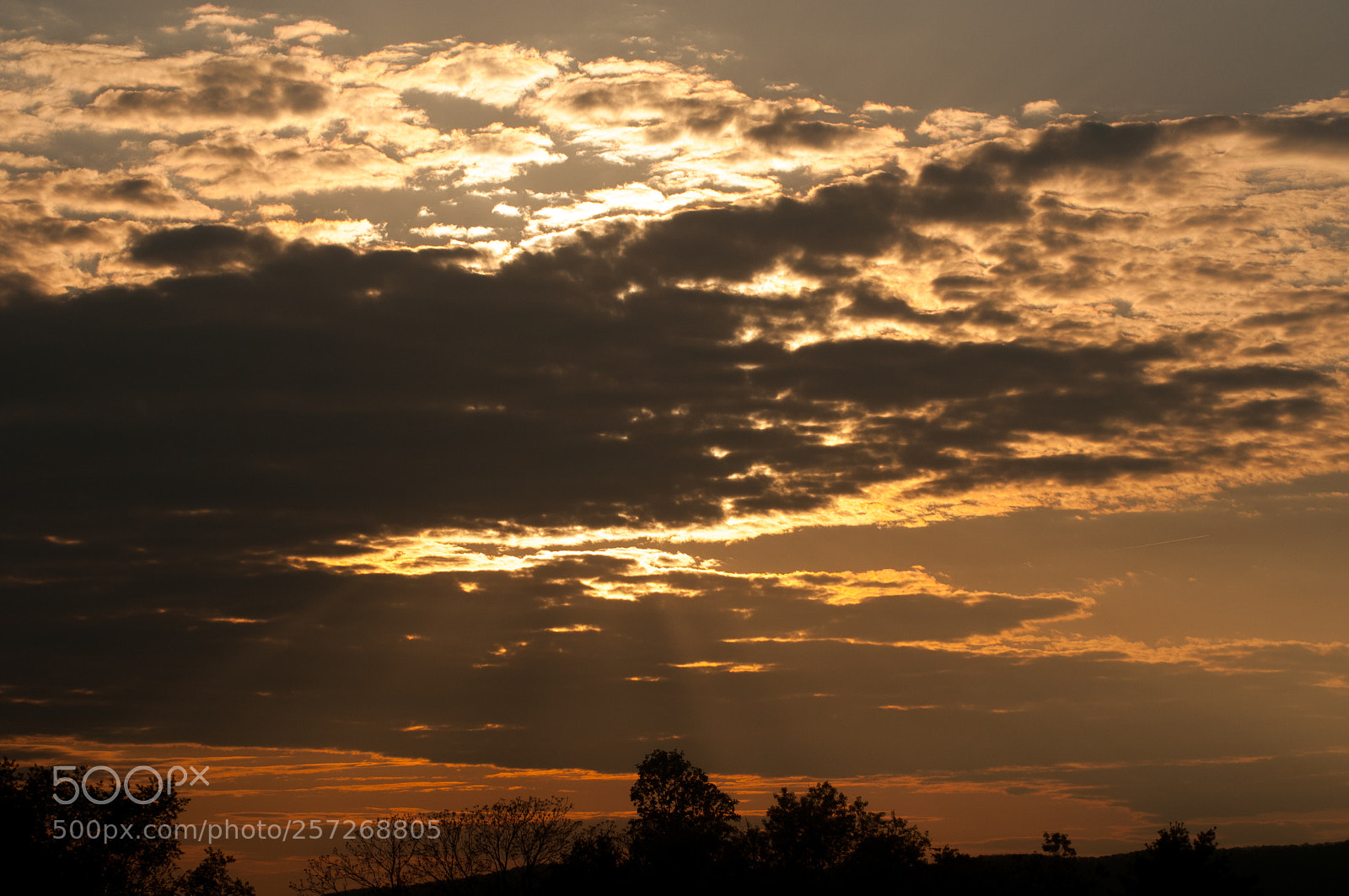 Nikon D300 sample photo. Rays of light photography