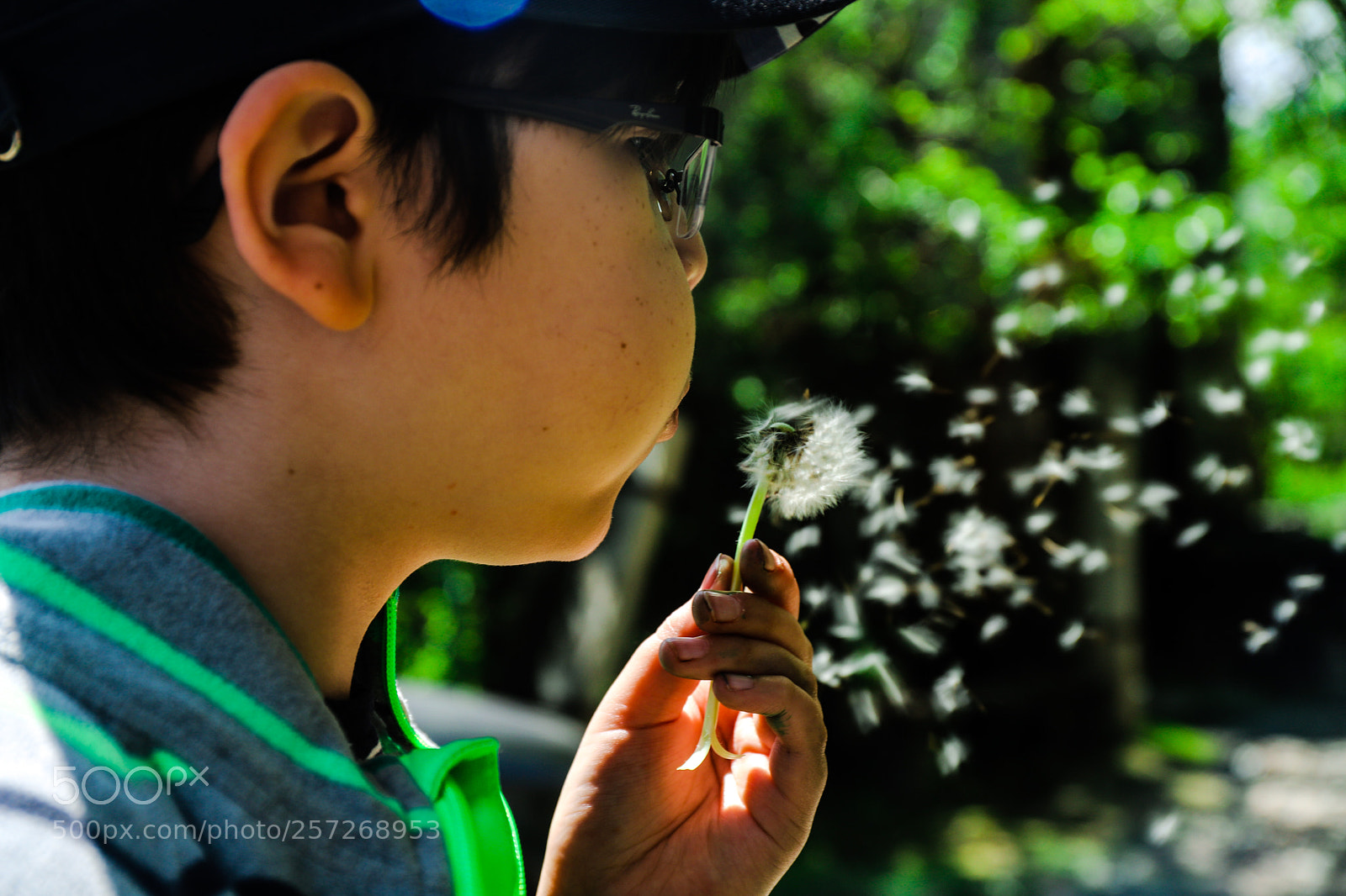 Canon EOS 6D Mark II sample photo. Blowing in the wind photography