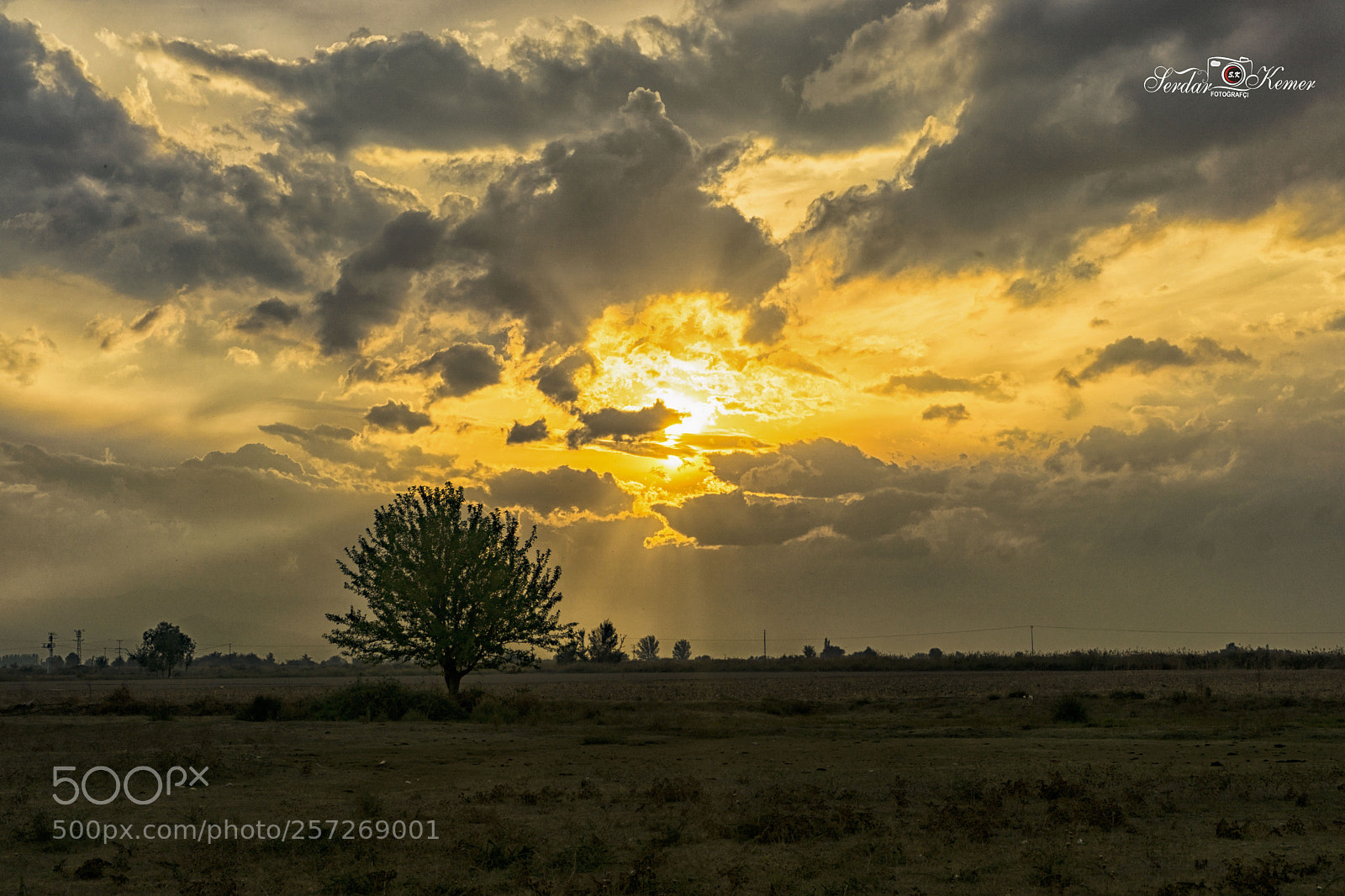 Sony a6000 sample photo. Foto raf - serdar photography