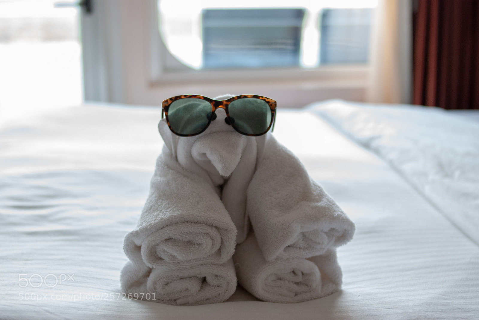 Nikon D80 sample photo. Towel thing photography