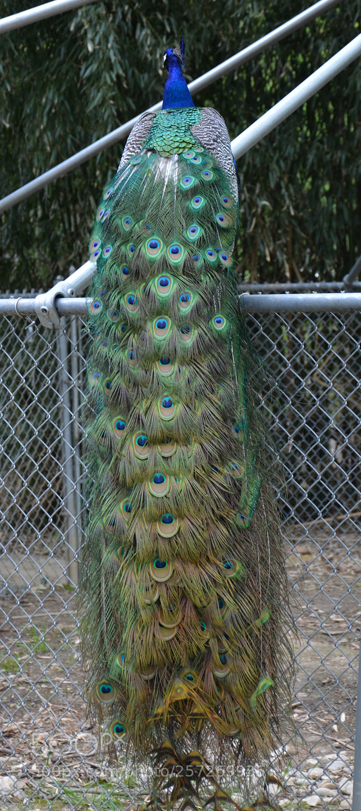 Nikon D7000 sample photo. Untitled photography