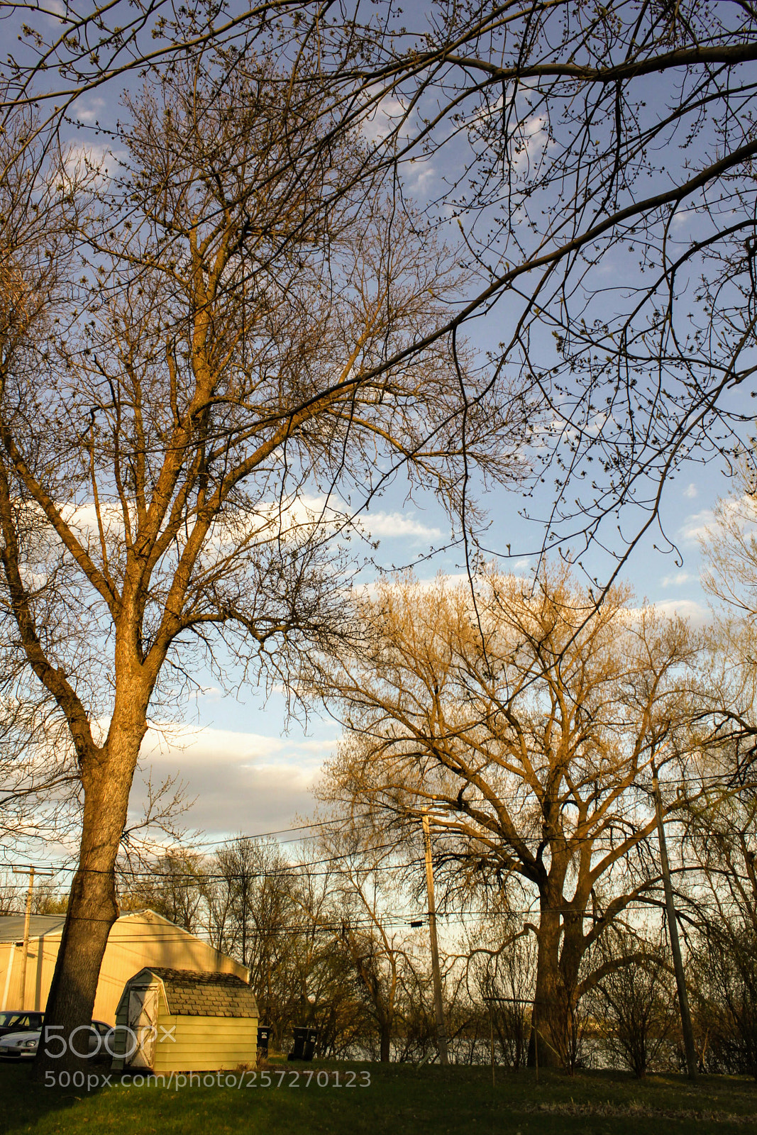 Canon EOS 500D (EOS Rebel T1i / EOS Kiss X3) sample photo. The light at golden photography