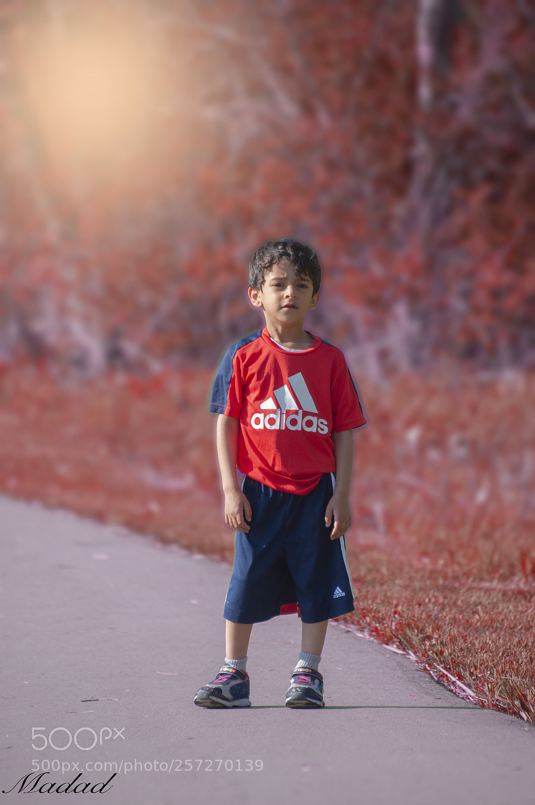 Nikon D90 sample photo. Untitled photography