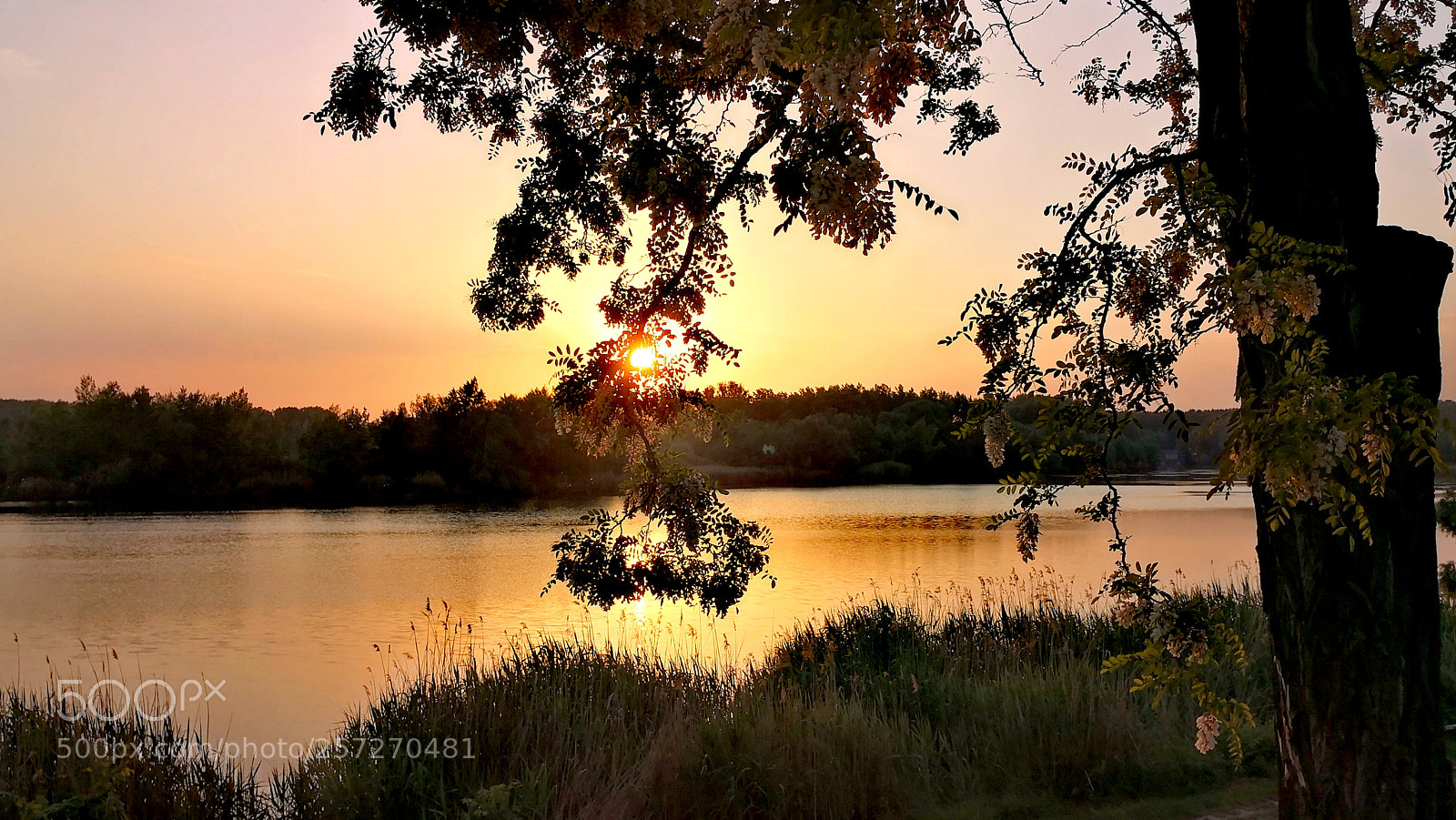 HUAWEI Mate 10 Pro sample photo. Spring sunset photography