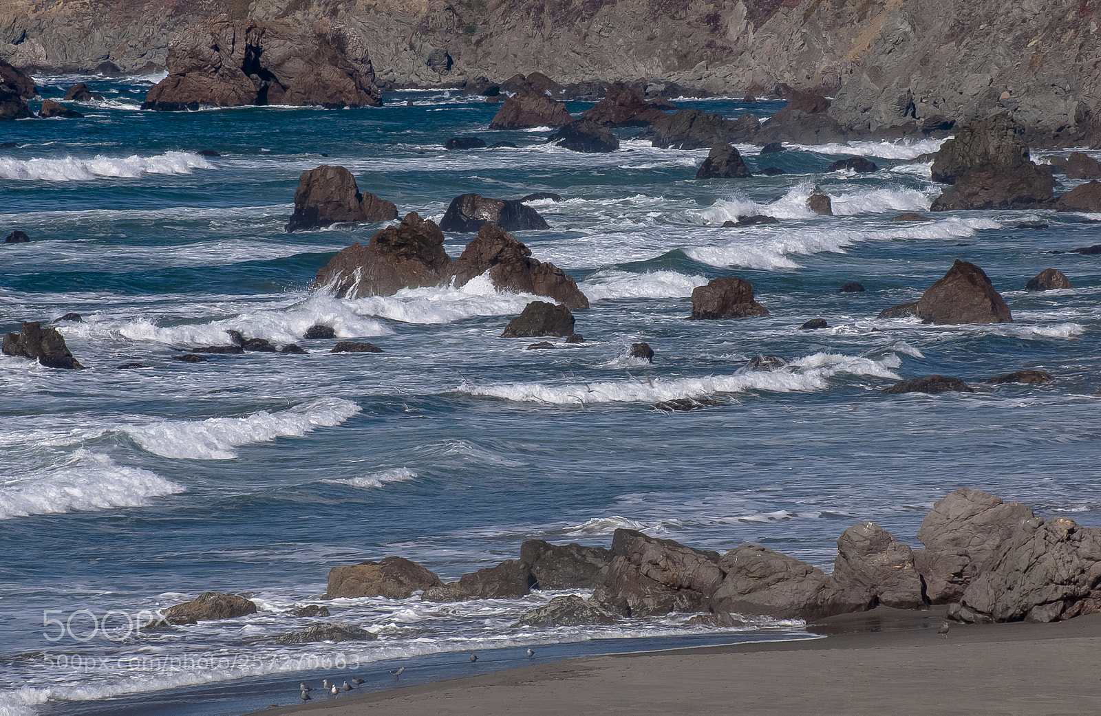 Nikon D300S sample photo. Coastline photography