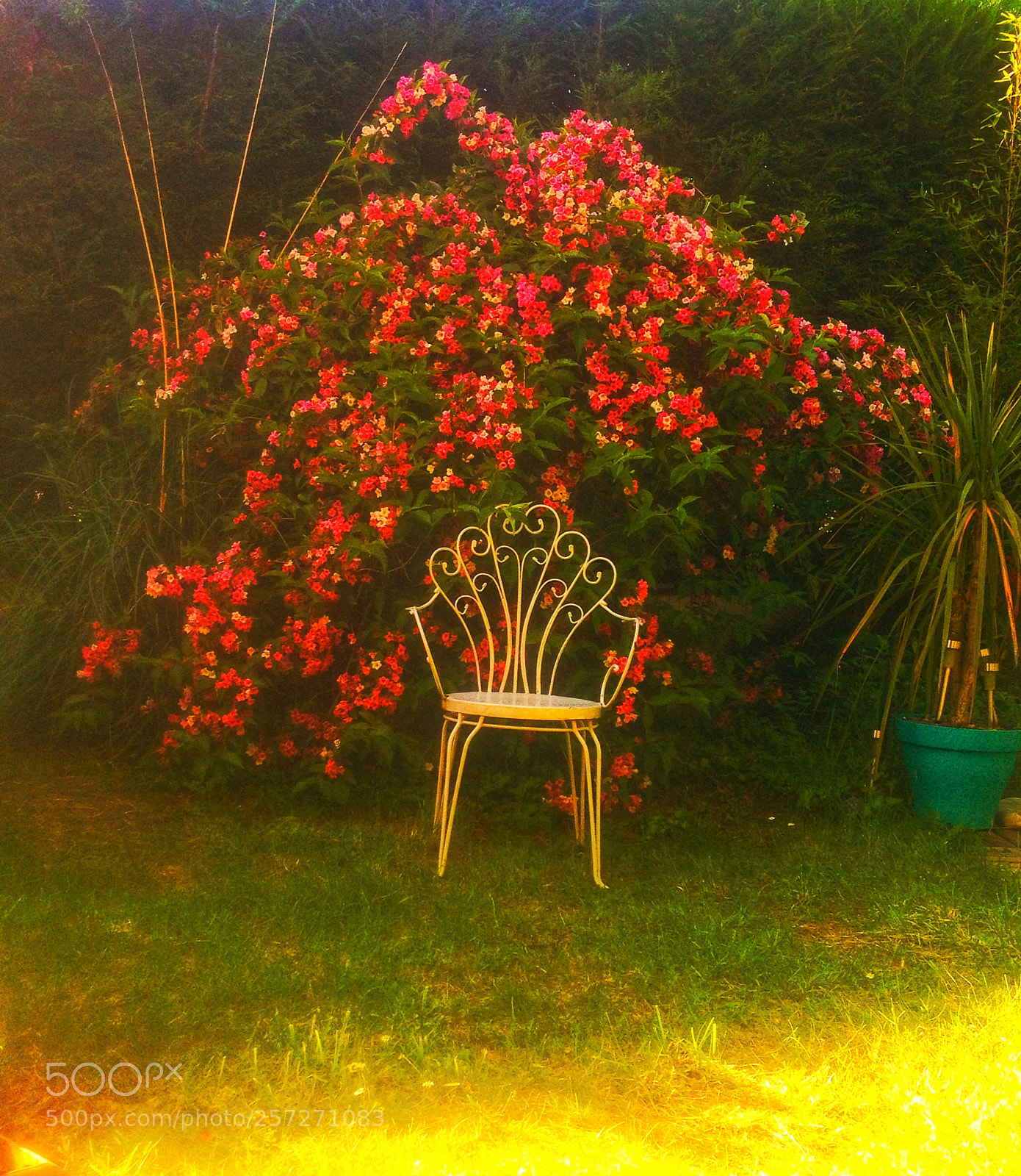 Apple iPhone 4S sample photo. Au jardin  photography