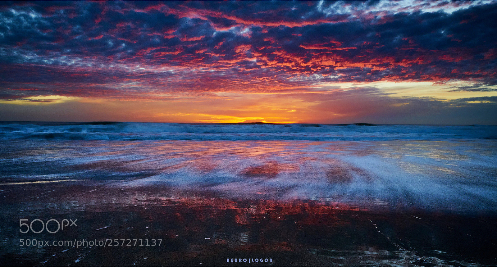 Sony a7R II sample photo. Dying embers photography