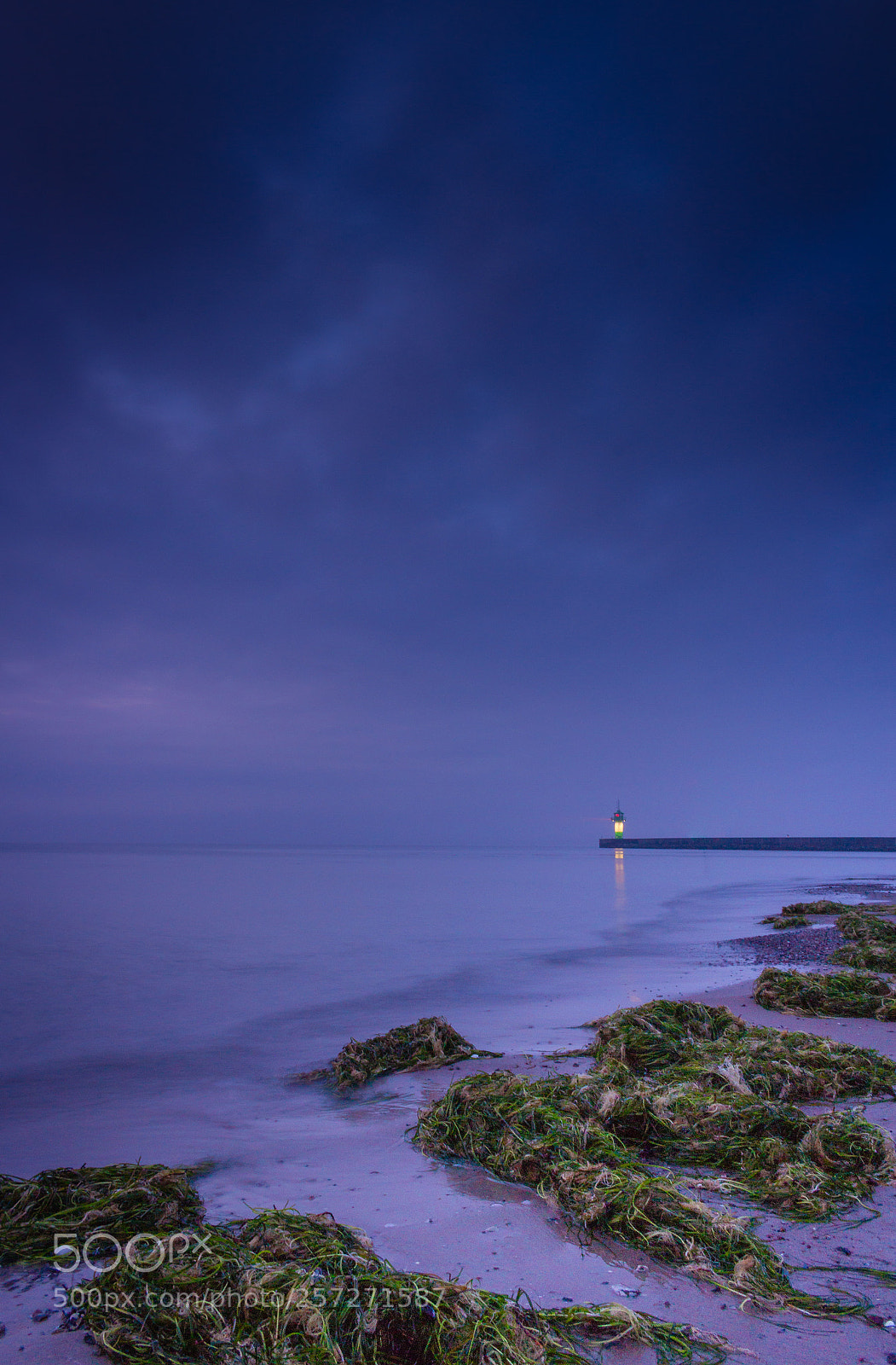 Canon EOS 100D (EOS Rebel SL1 / EOS Kiss X7) sample photo. Mist blue hour. photography