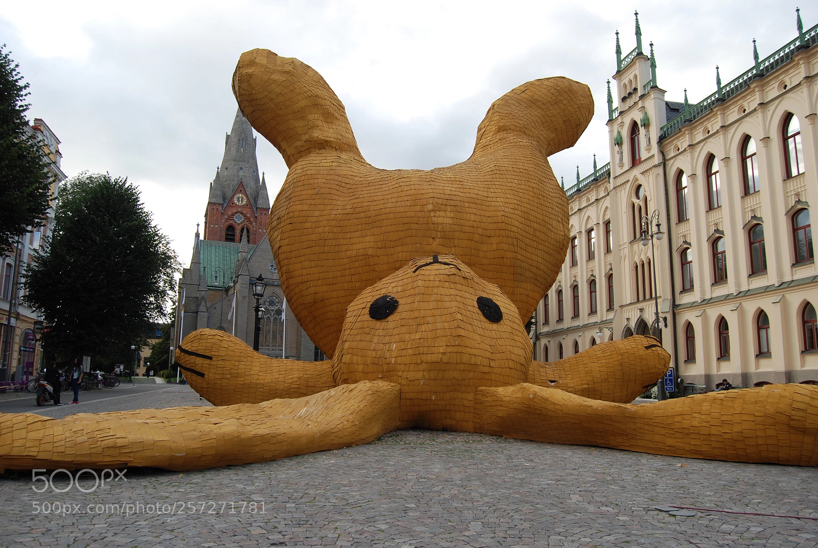 Nikon D80 sample photo. Yellow rabbit photography