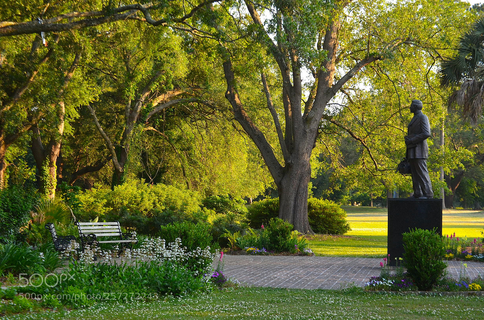 Nikon D5100 sample photo. Hampton park, charleston, south photography
